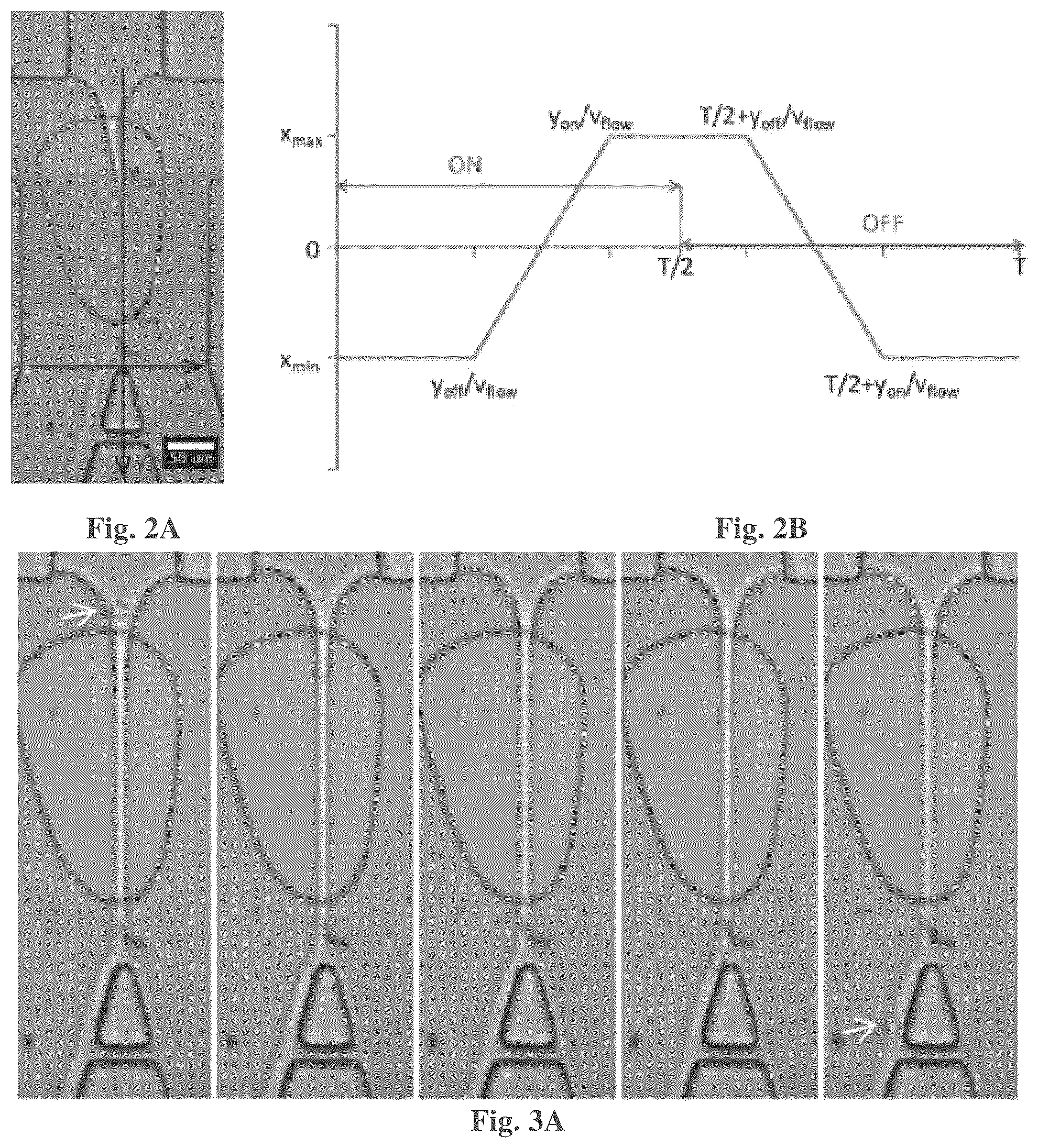 Patent US12576401 Figure 2 – Acoustic waves in microfluidics