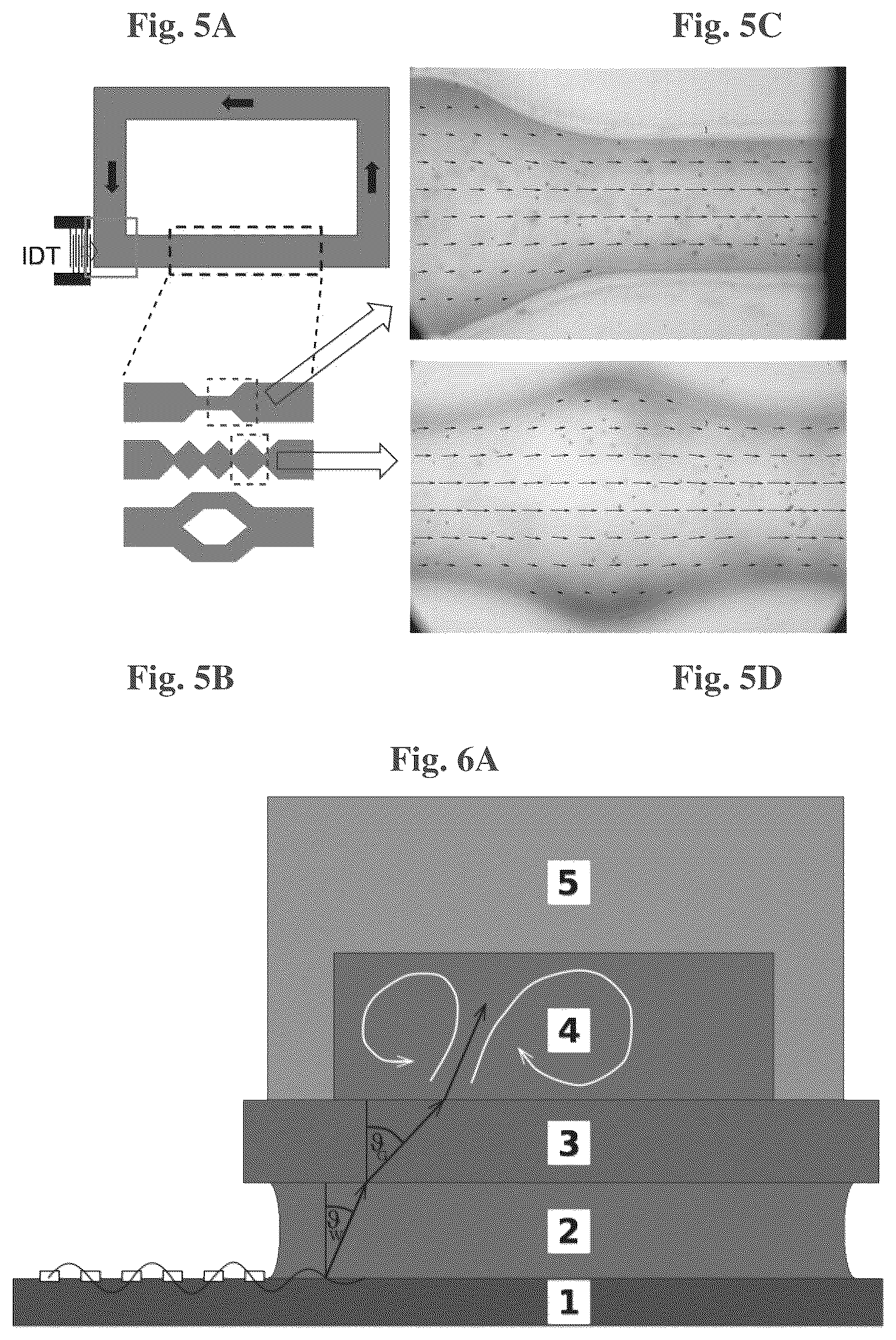 Patent US12576401 Figure 5 – Acoustic waves in microfluidics