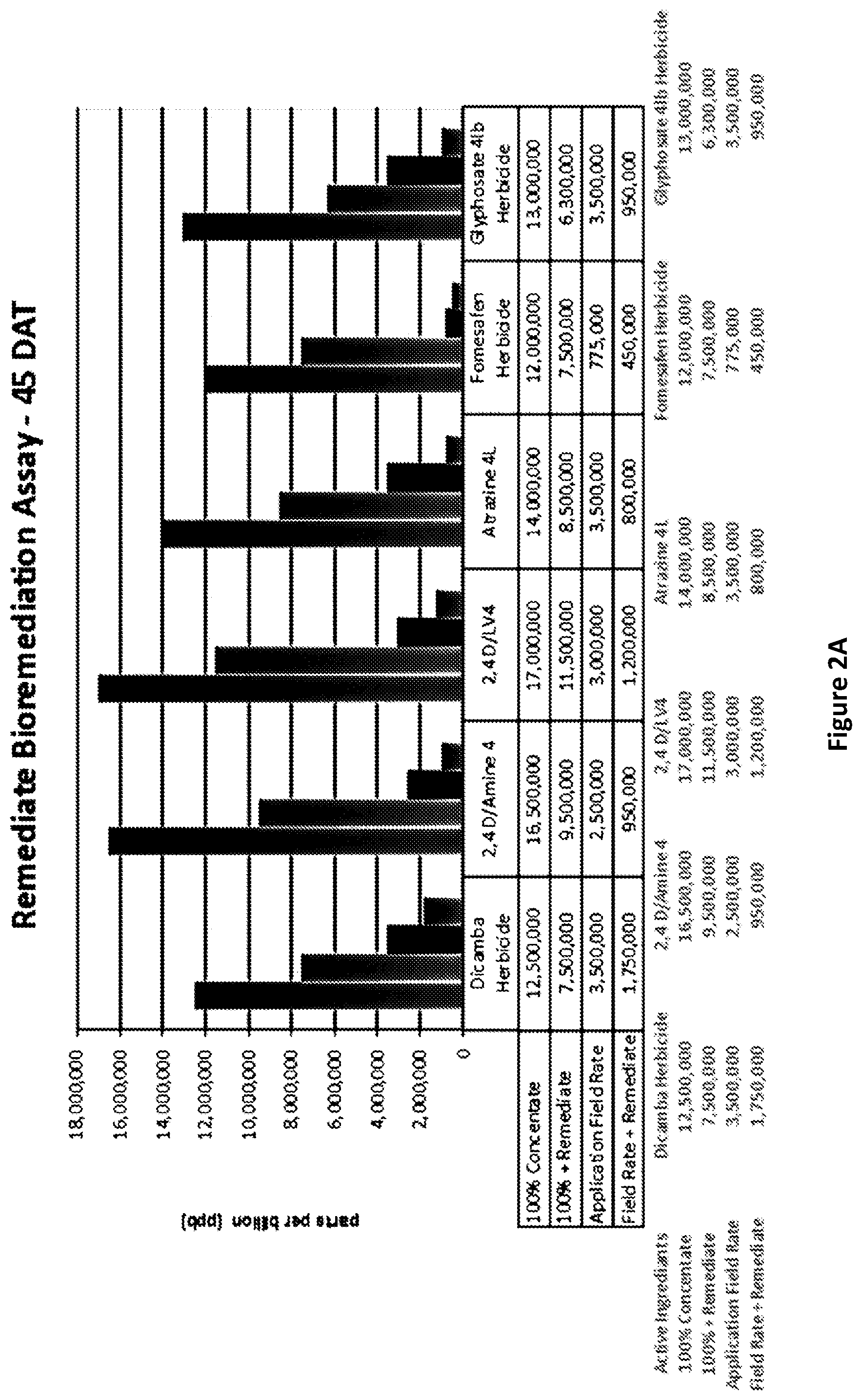 Patent US12576435 Figure 2 – Microbial treatment for water systems and soil remediation