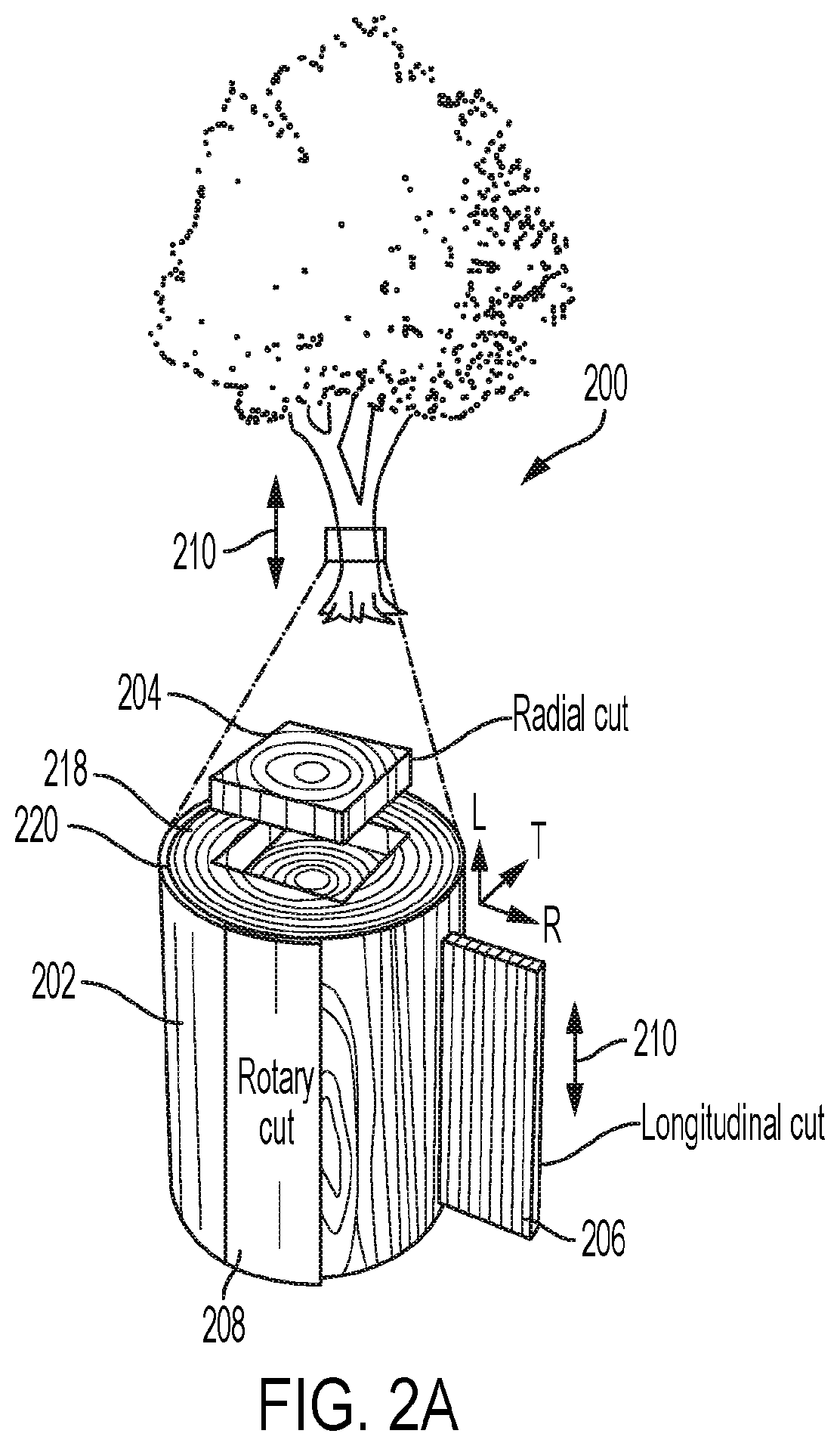 Patent US12576551 Figure 5 – Modified wood and transparent wood composites, and systems and methods for forming and use thereof