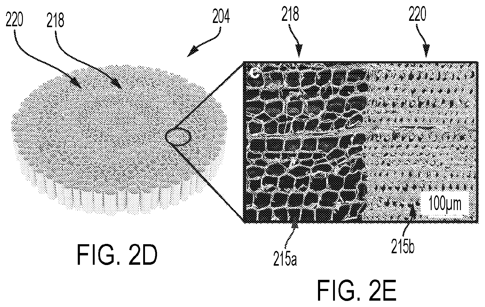 Patent US12576551 Figure 7 – Modified wood and transparent wood composites, and systems and methods for forming and use thereof