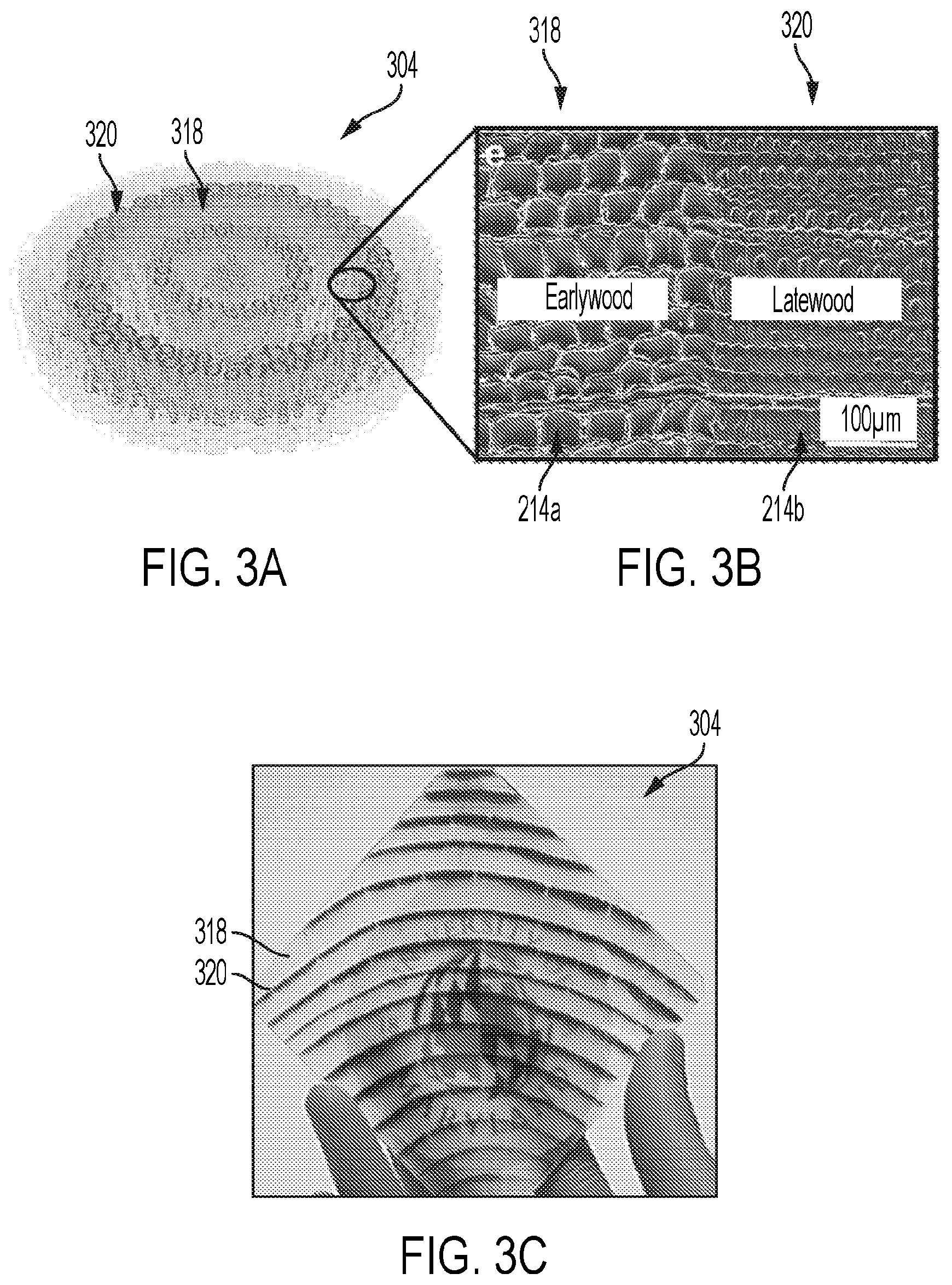 Patent US12576551 Figure 8 – Modified wood and transparent wood composites, and systems and methods for forming and use thereof
