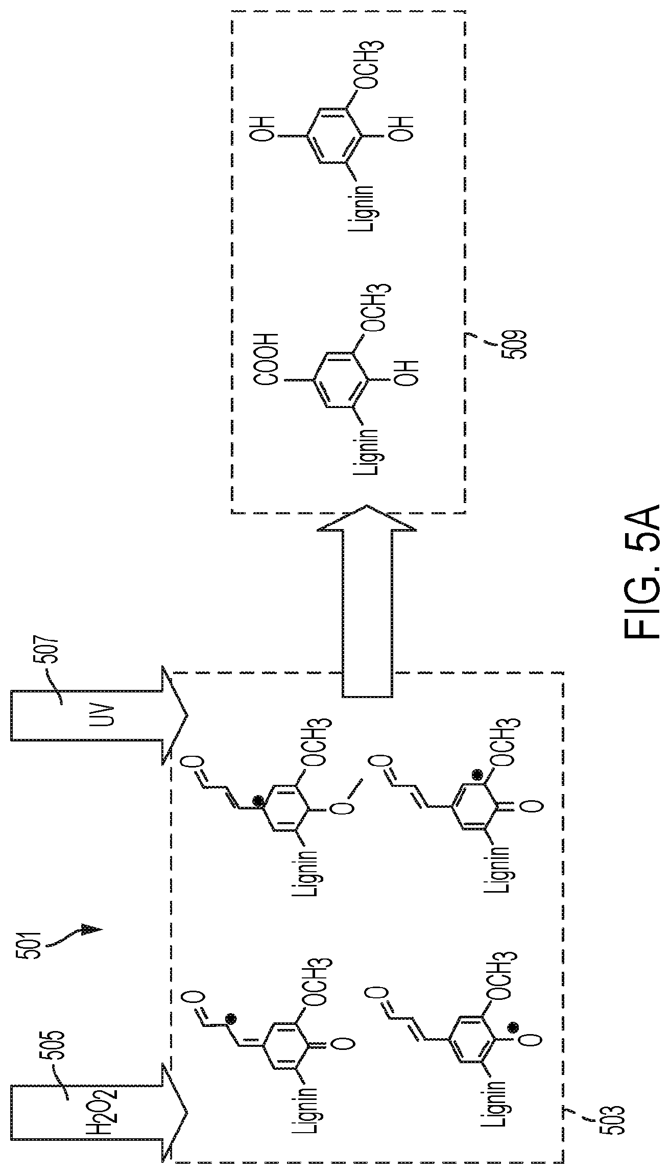 Patent US12576551 Figure 12 – Modified wood and transparent wood composites, and systems and methods for forming and use thereof