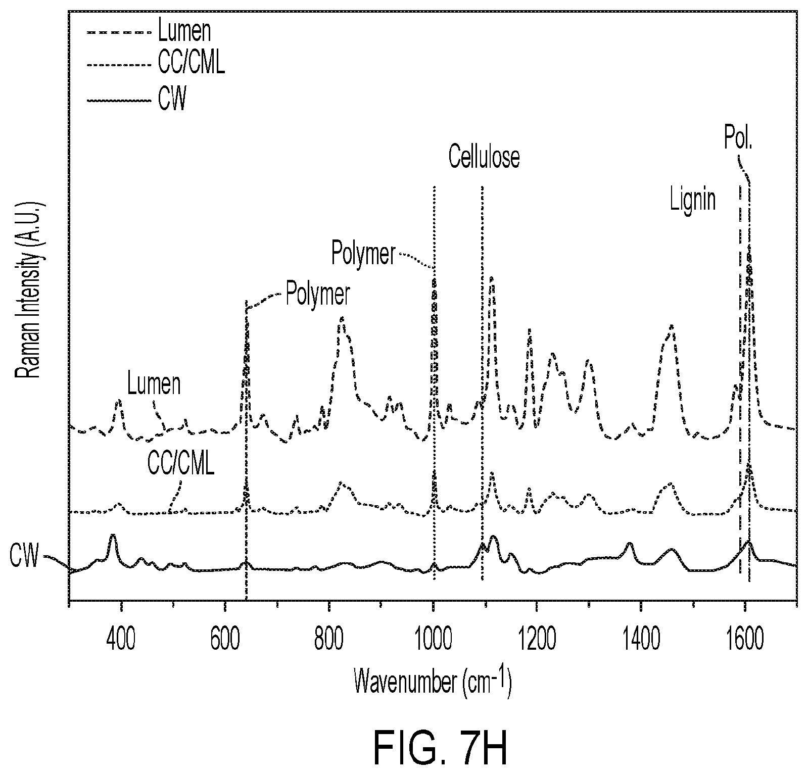 Patent US12576551 Figure 19 – Modified wood and transparent wood composites, and systems and methods for forming and use thereof