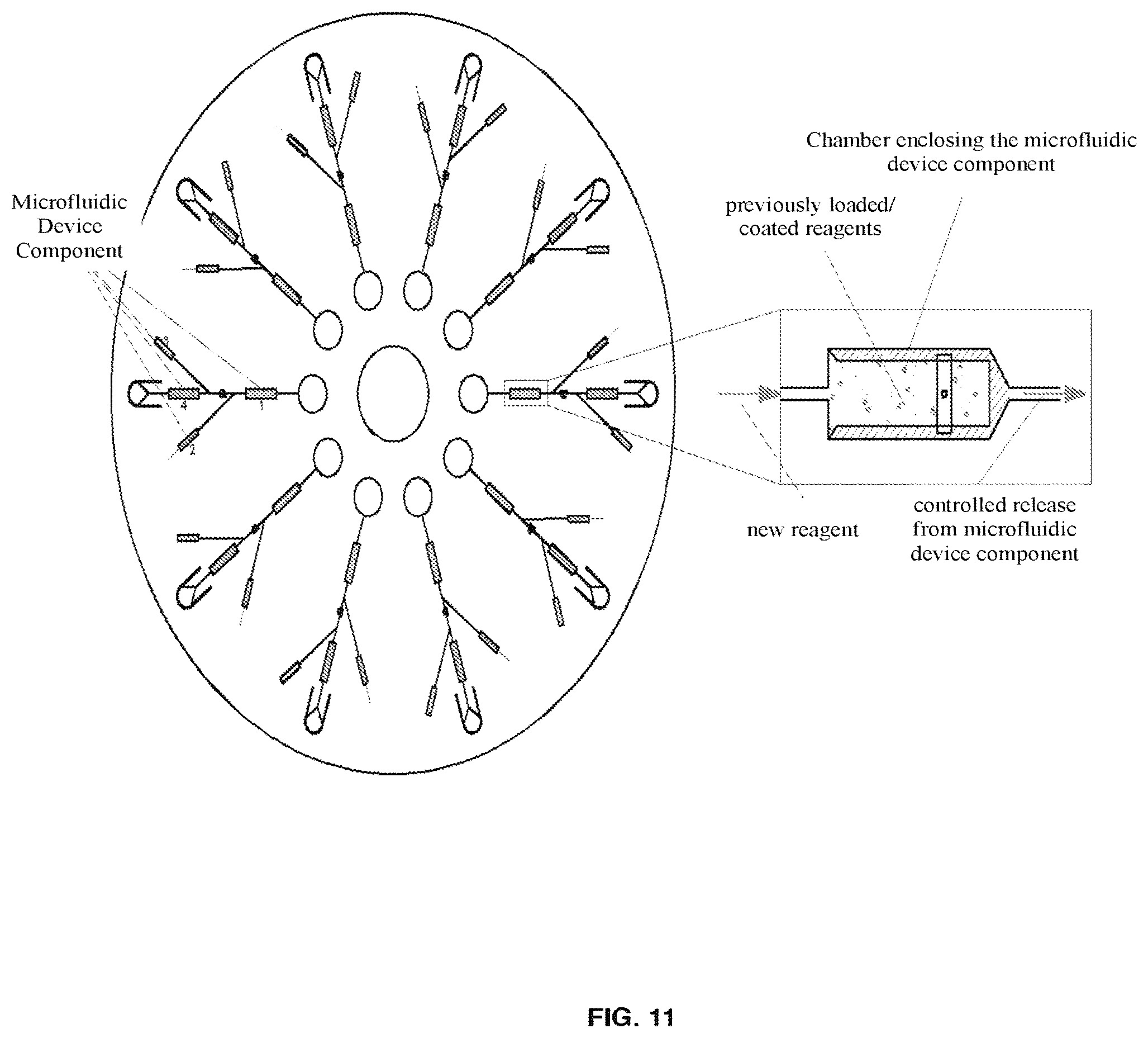 Patent US12576562 Figure 11 – Long-term storage and proportional dispensing device