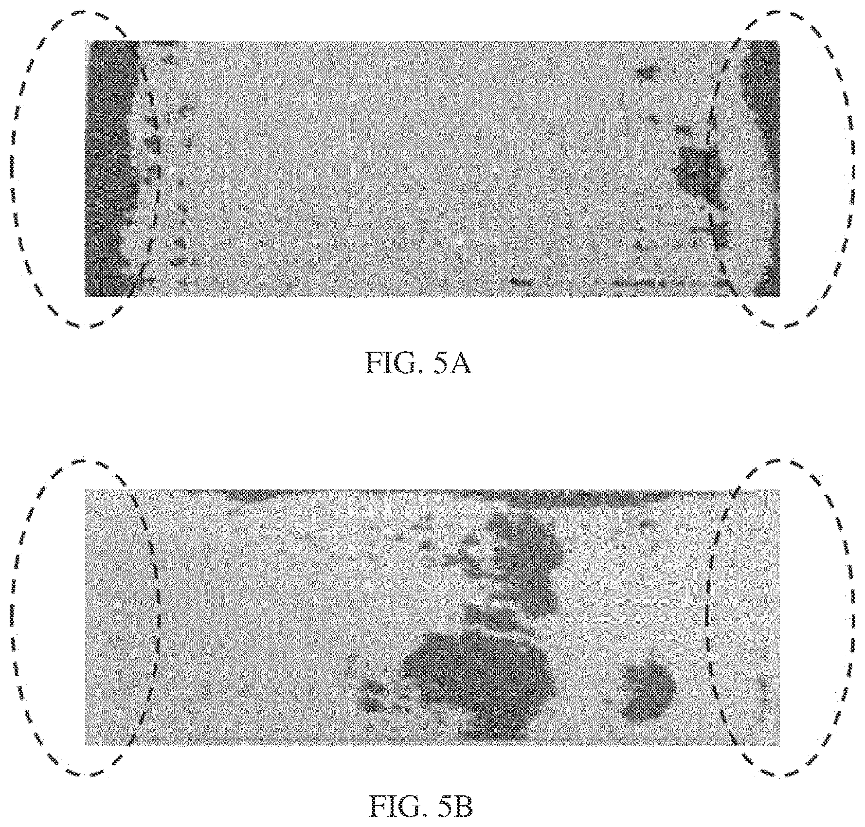 Patent US12576626 Figure 5 – Laminator for manufacture of unit structural bodies with increased force of adhesion