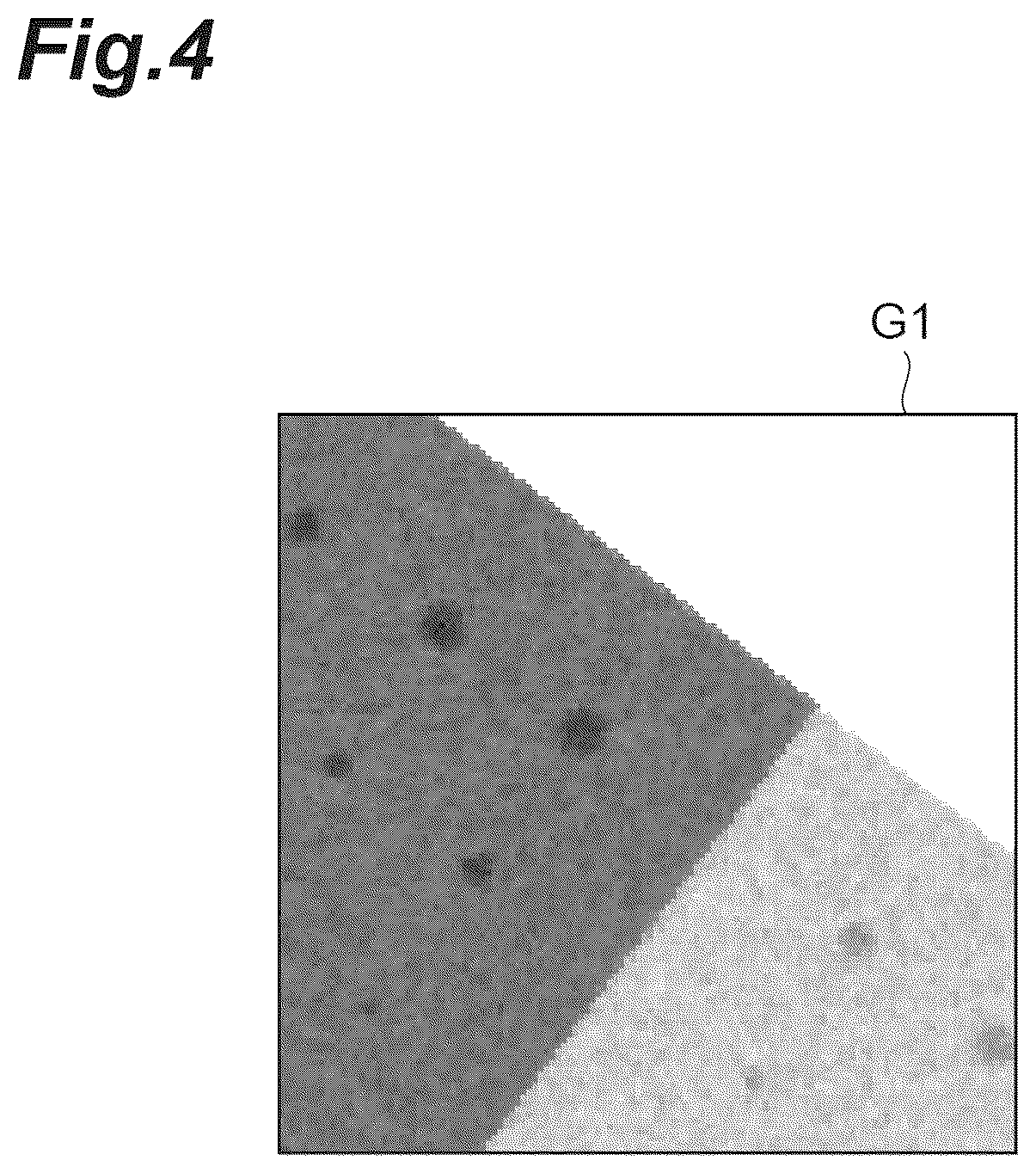 Patent US12579621 Figure 4 – Optical image processing method, machine learning method, trained model, machine learning pre-processing method, optical image processing module, optical image processing program, and optical image processing system
