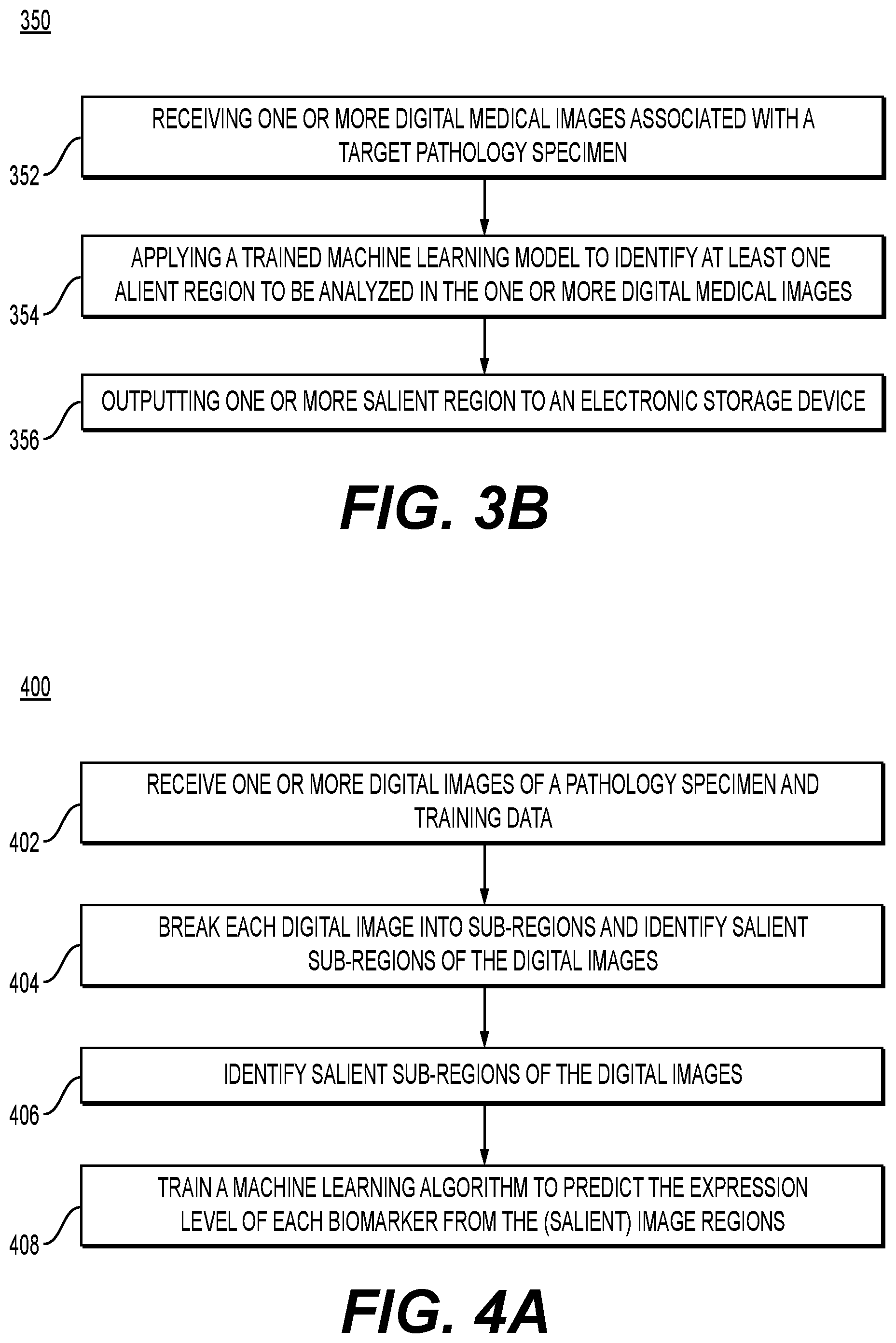Patent US12579645 Figure 5 – Systems and methods for processing images to determine biomarker levels