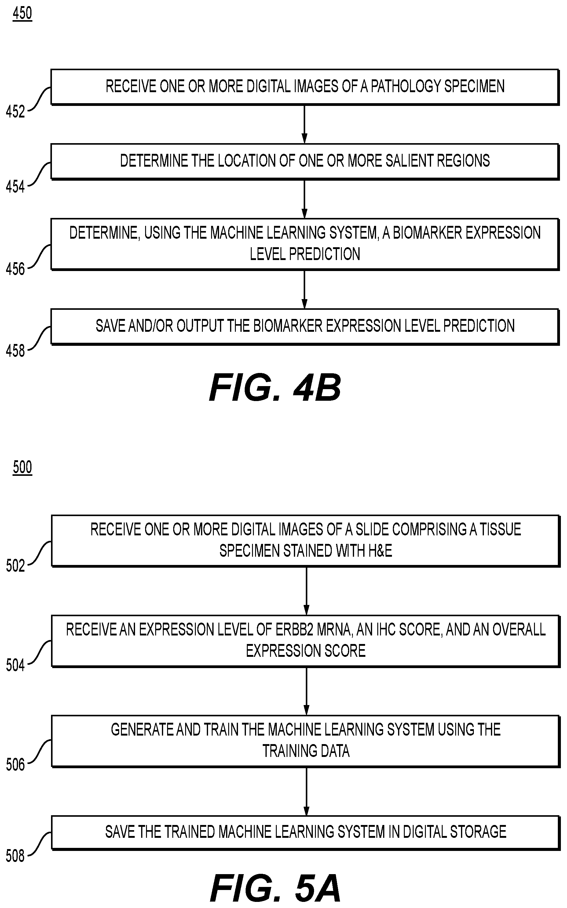 Patent US12579645 Figure 6 – Systems and methods for processing images to determine biomarker levels