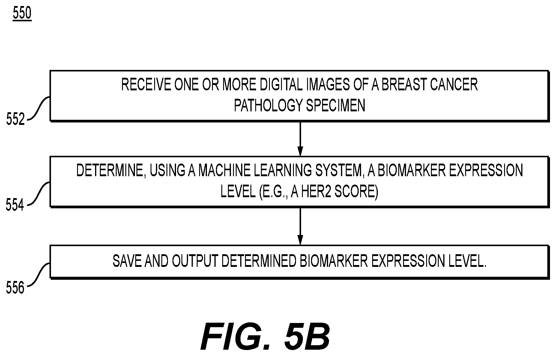 Patent US12579645 Figure 7 – Systems and methods for processing images to determine biomarker levels