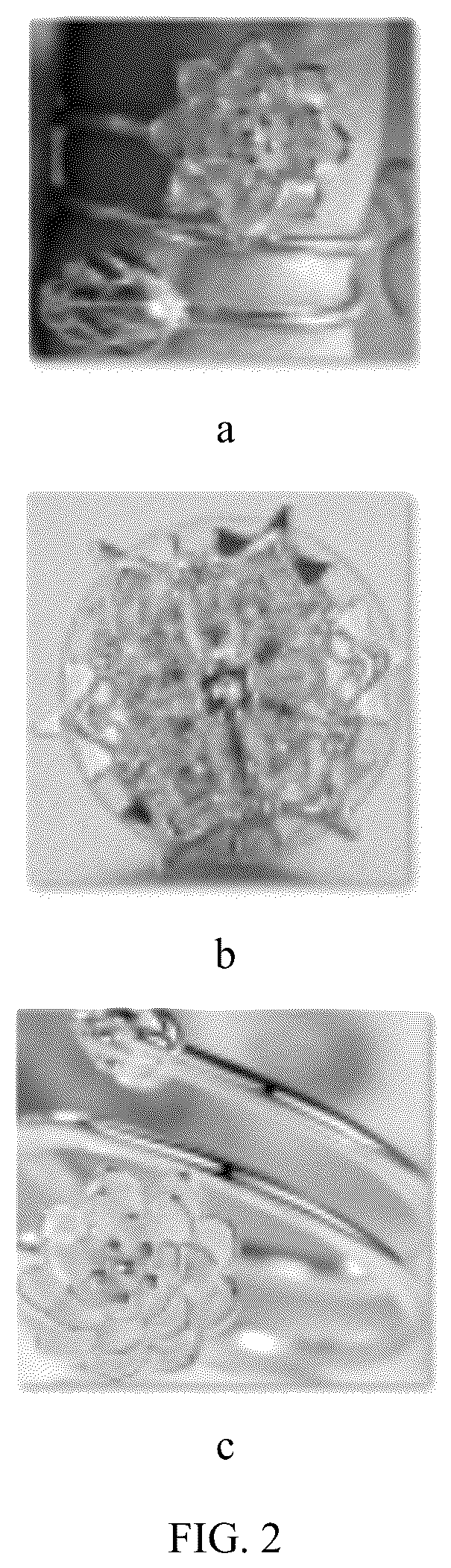 Patent US12579790 Figure 2 – Model training method, image retrieval method, and apparatus