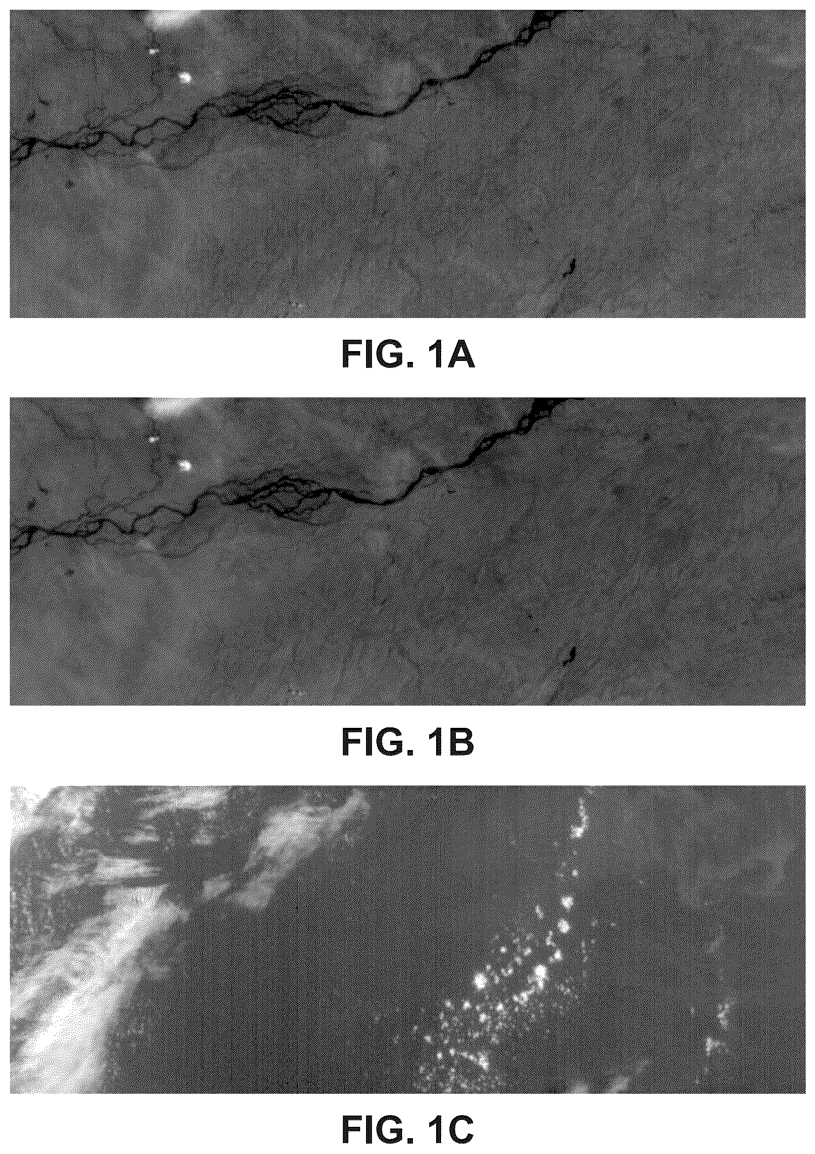 Patent US12581215 Figure 1 – Dark current pattern estimation method