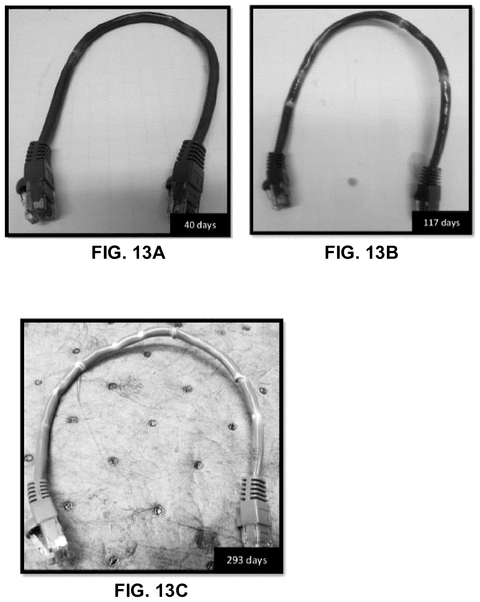 Patent US12581616 Figure 12 – Fluid, system and method for immersion cooling objects having plasticized surfaces