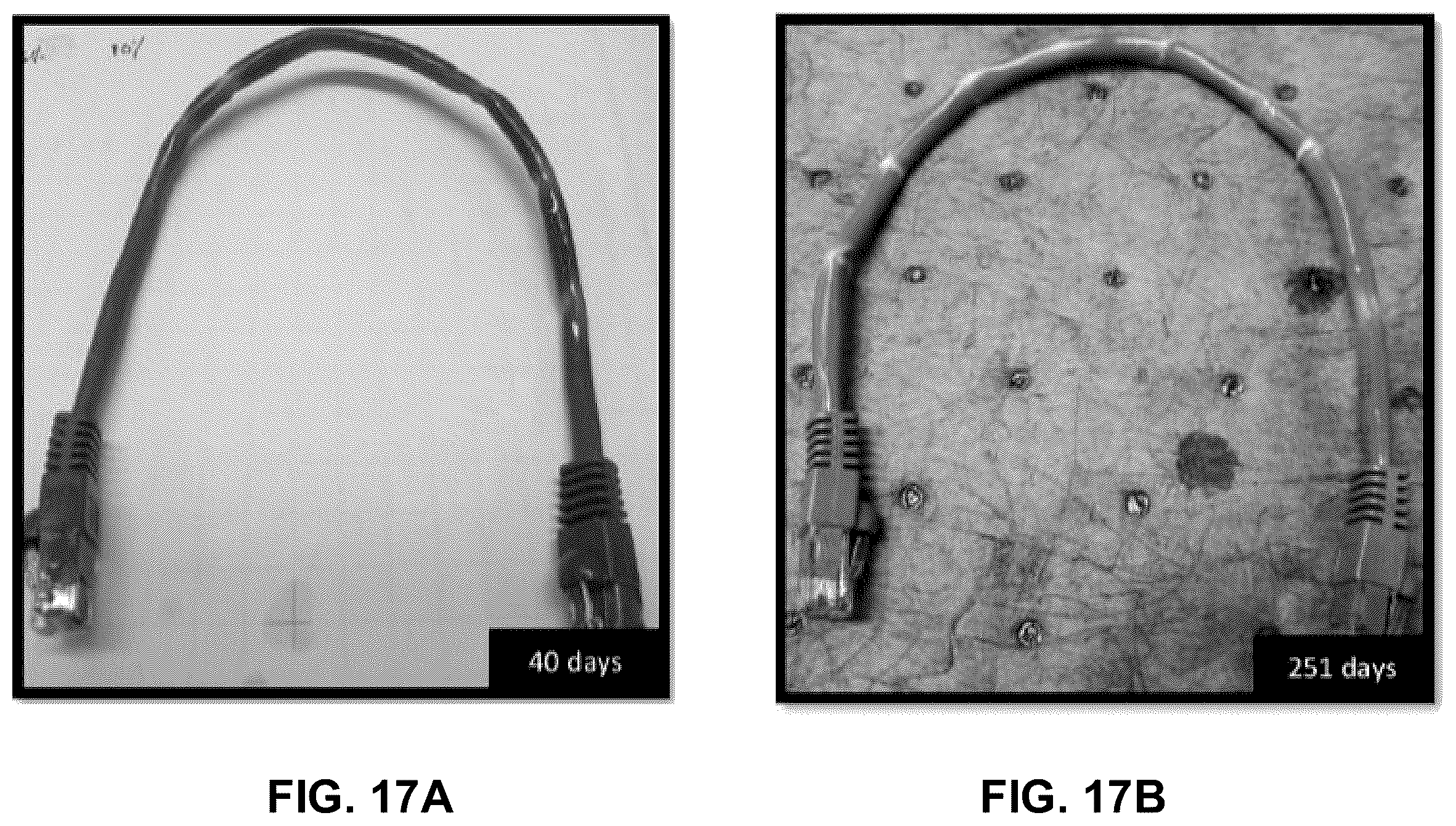 Patent US12581616 Figure 16 – Fluid, system and method for immersion cooling objects having plasticized surfaces