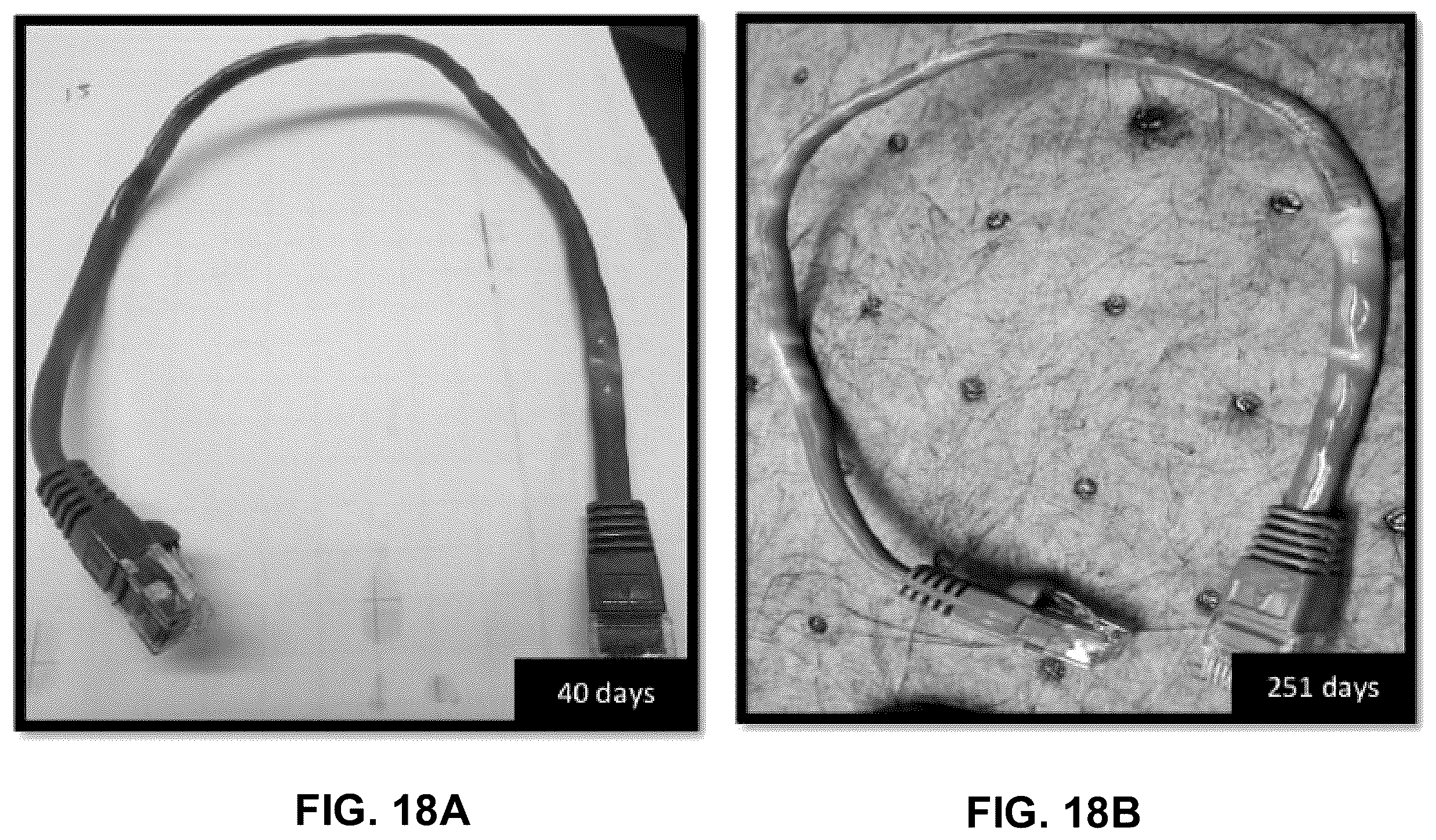 Patent US12581616 Figure 17 – Fluid, system and method for immersion cooling objects having plasticized surfaces