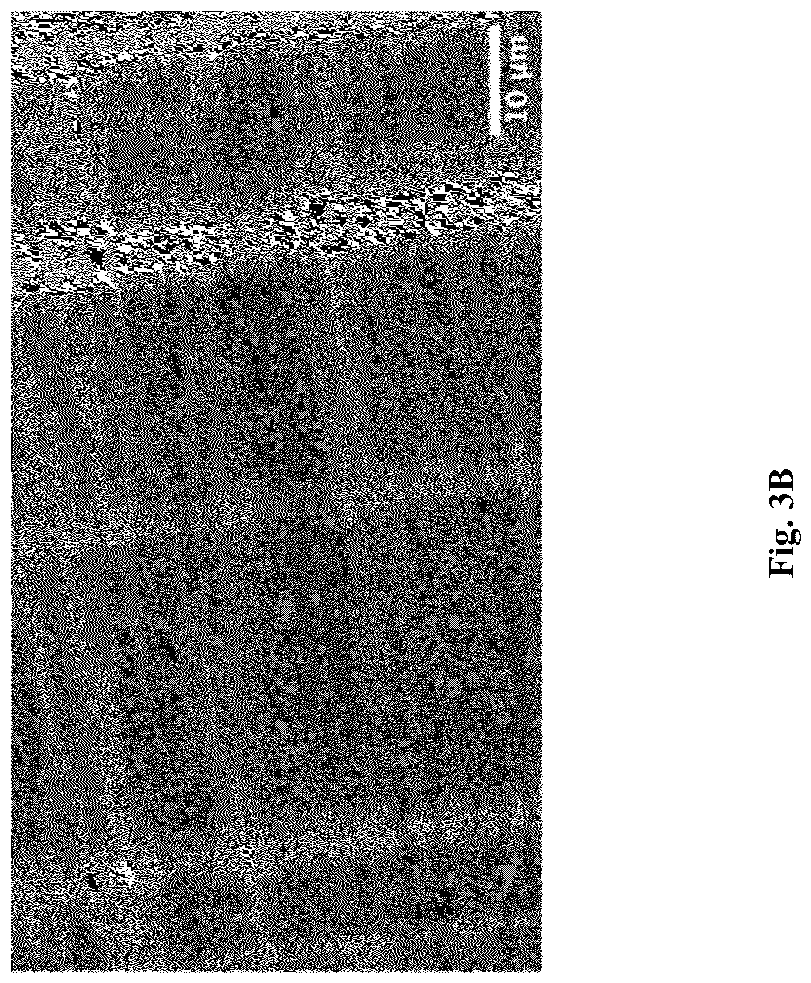 Patent US12581772 Figure 9 – Strain balanced direct bandgap aluminum indium phosphide quantum wells for light emitting diodes