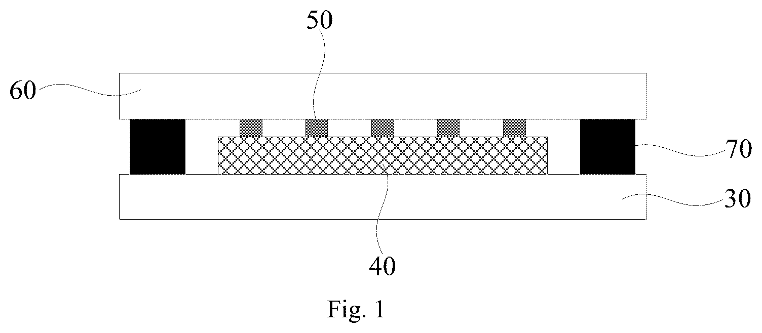 Patent US12581833 Figure 1 – Display substrate and display device