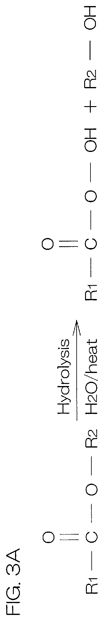 Patent US12581891 Figure 3 – Substrate processing method, substrate processing device, and processing fluid
