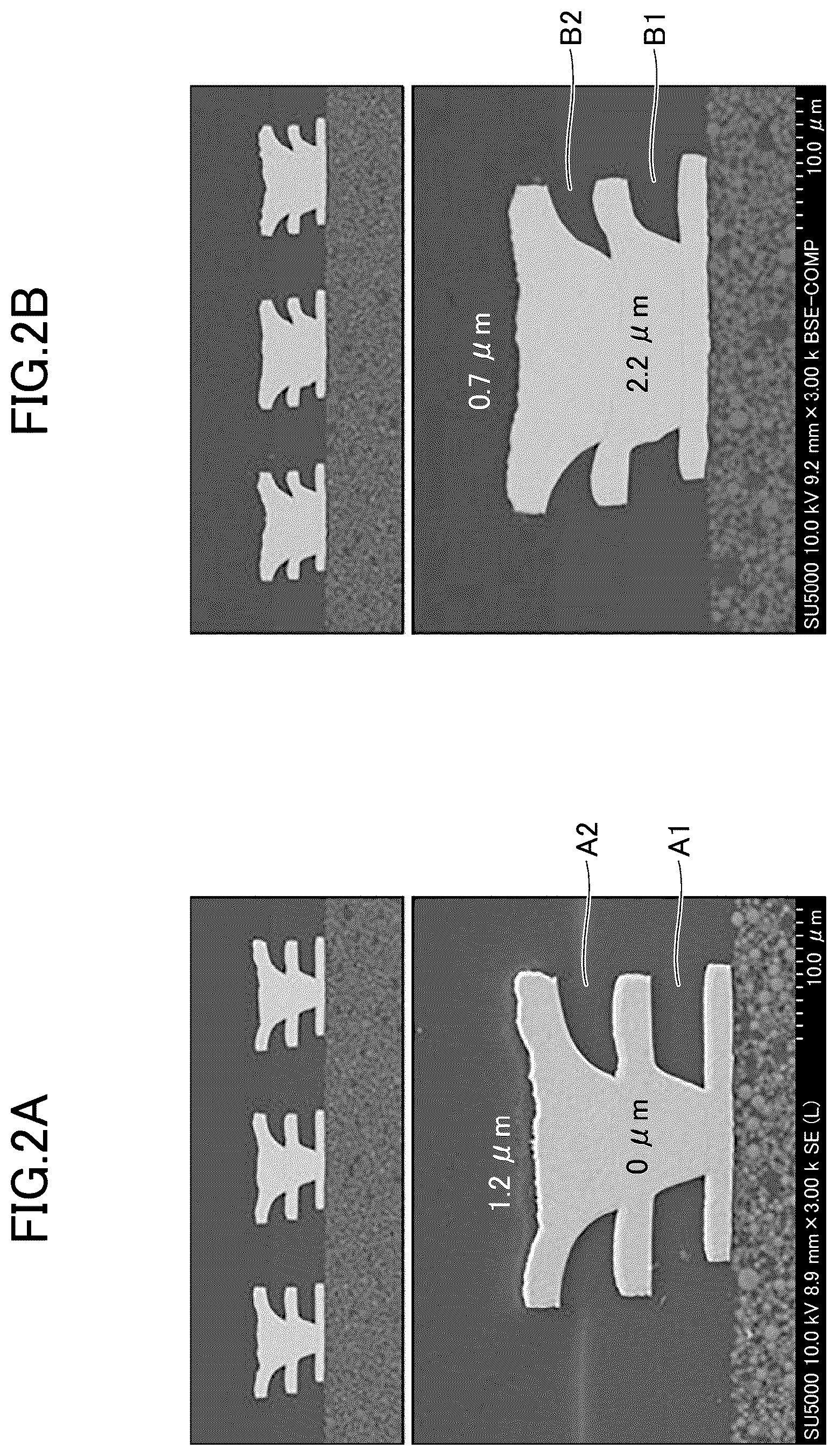 Patent US12581936 Figure 2 – Interconnect substrate