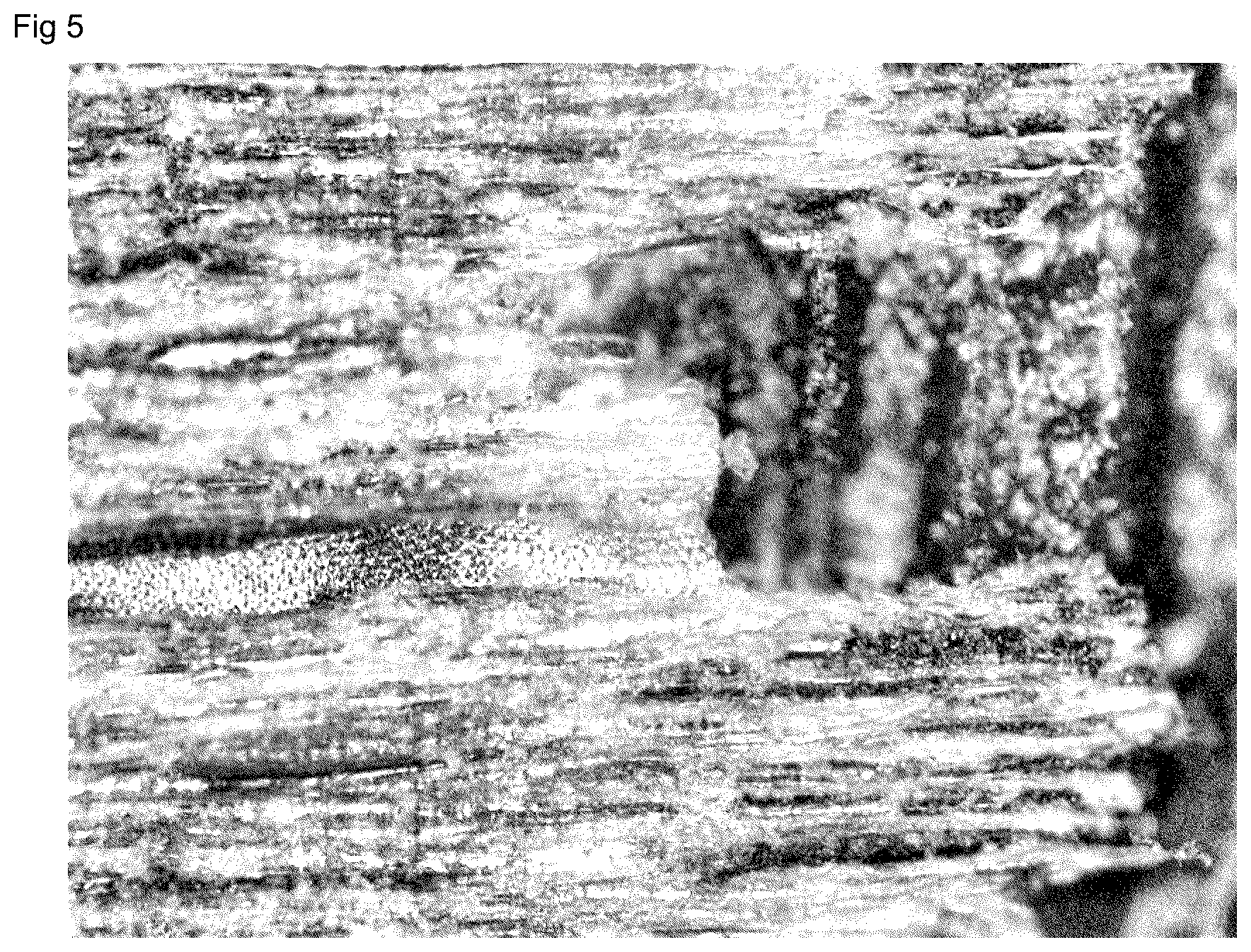 Patent US12583146 Figure 3 – Composite products