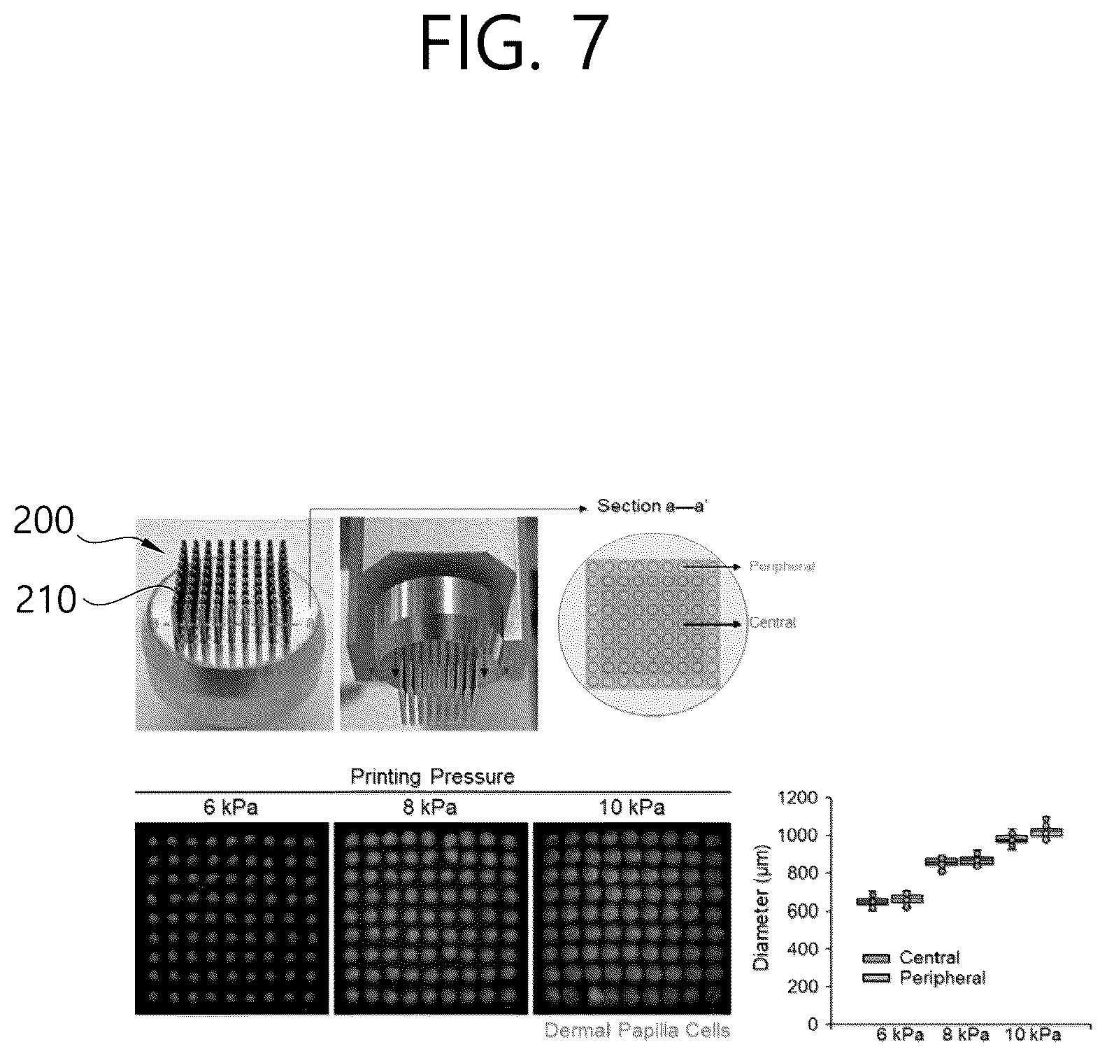 Patent US12583172 Figure 13 – Artificial scalp model production method using 3D printing-based multi-point multi-nozzles and artificial scalp model created by using same