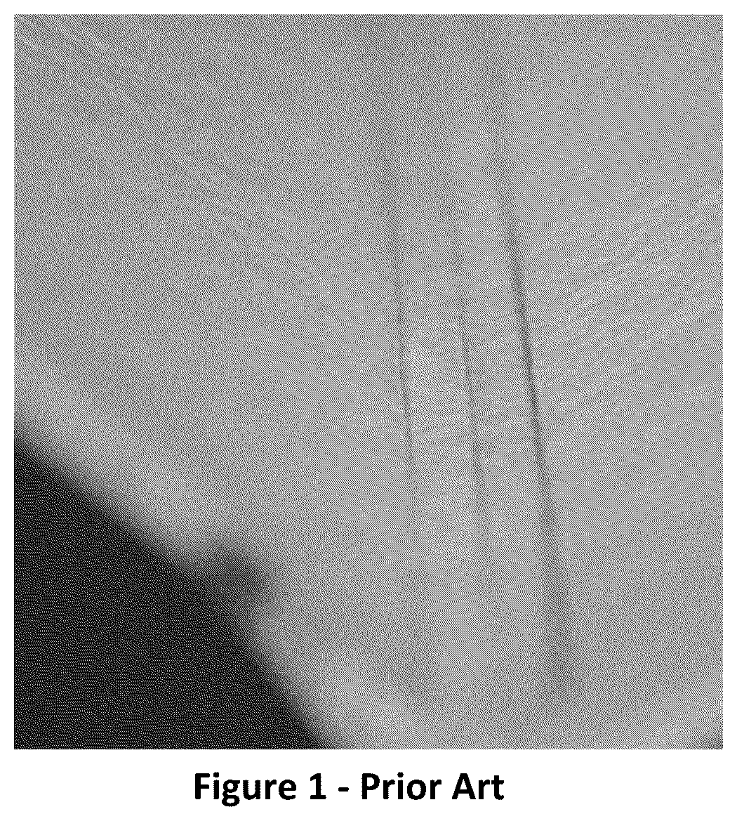 Patent US12583200 Figure 1 – Method for forming a creasing on a paper item and paper item provided with a creasing