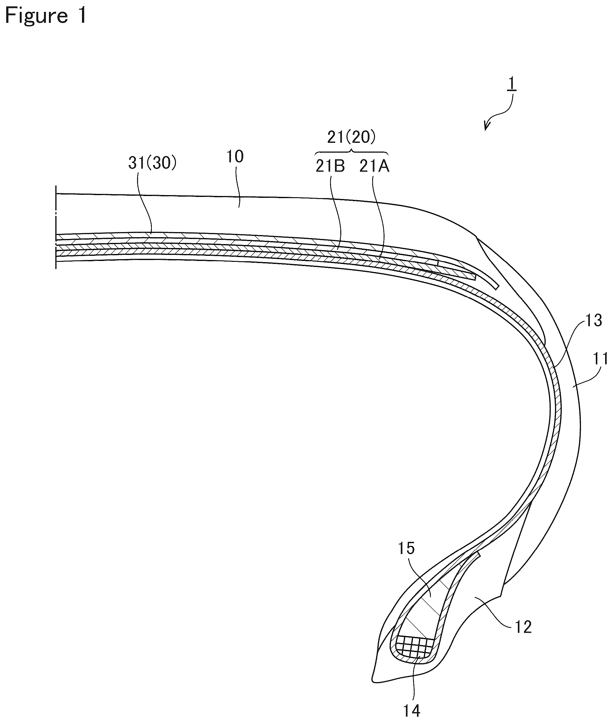 Patent US12583259 — Pneumatic tire — Figure 1