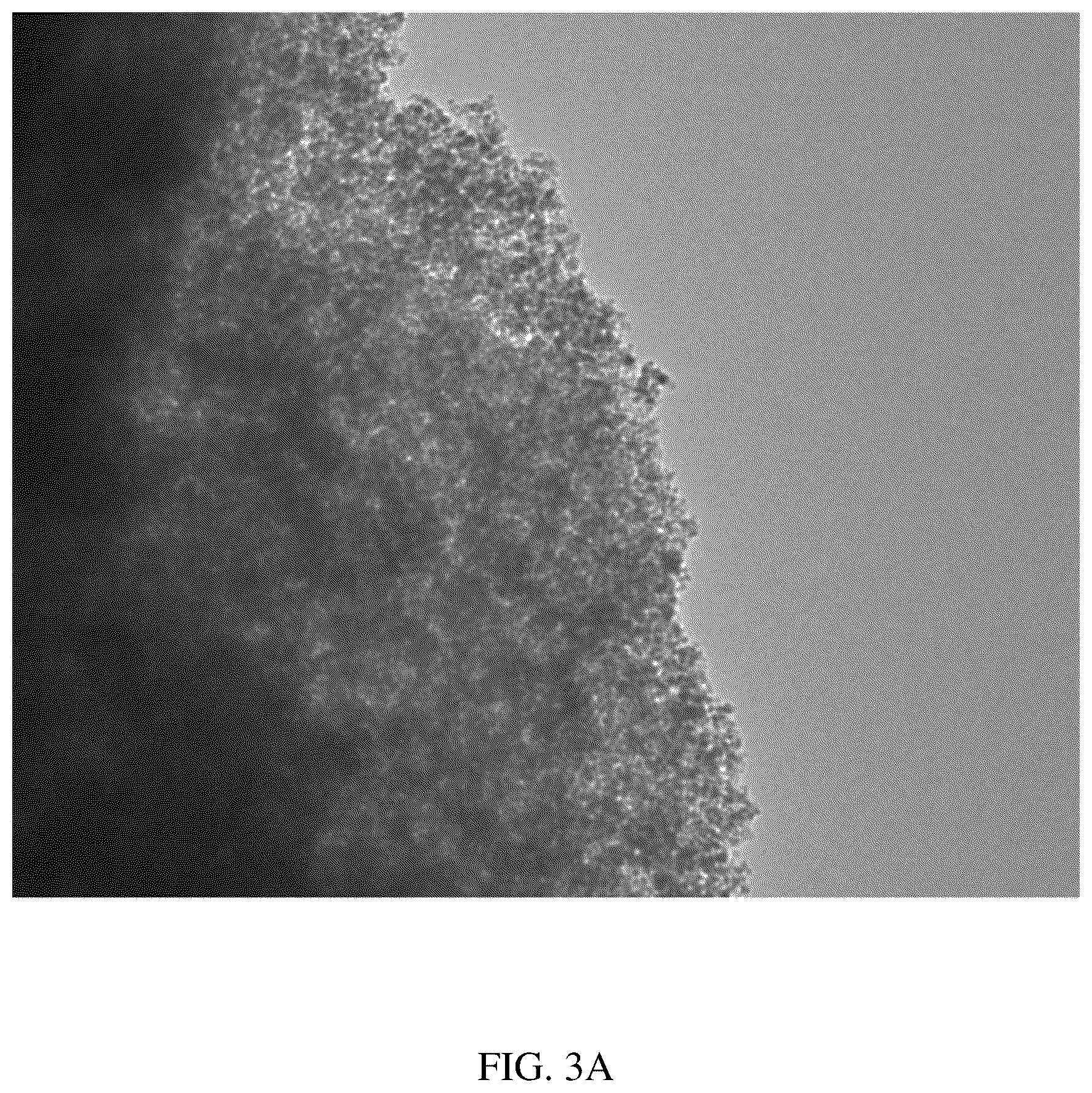 Patent US12583754 Figure 3 – Nanostructured silicon carbonaceous composite material and methods for producing the same