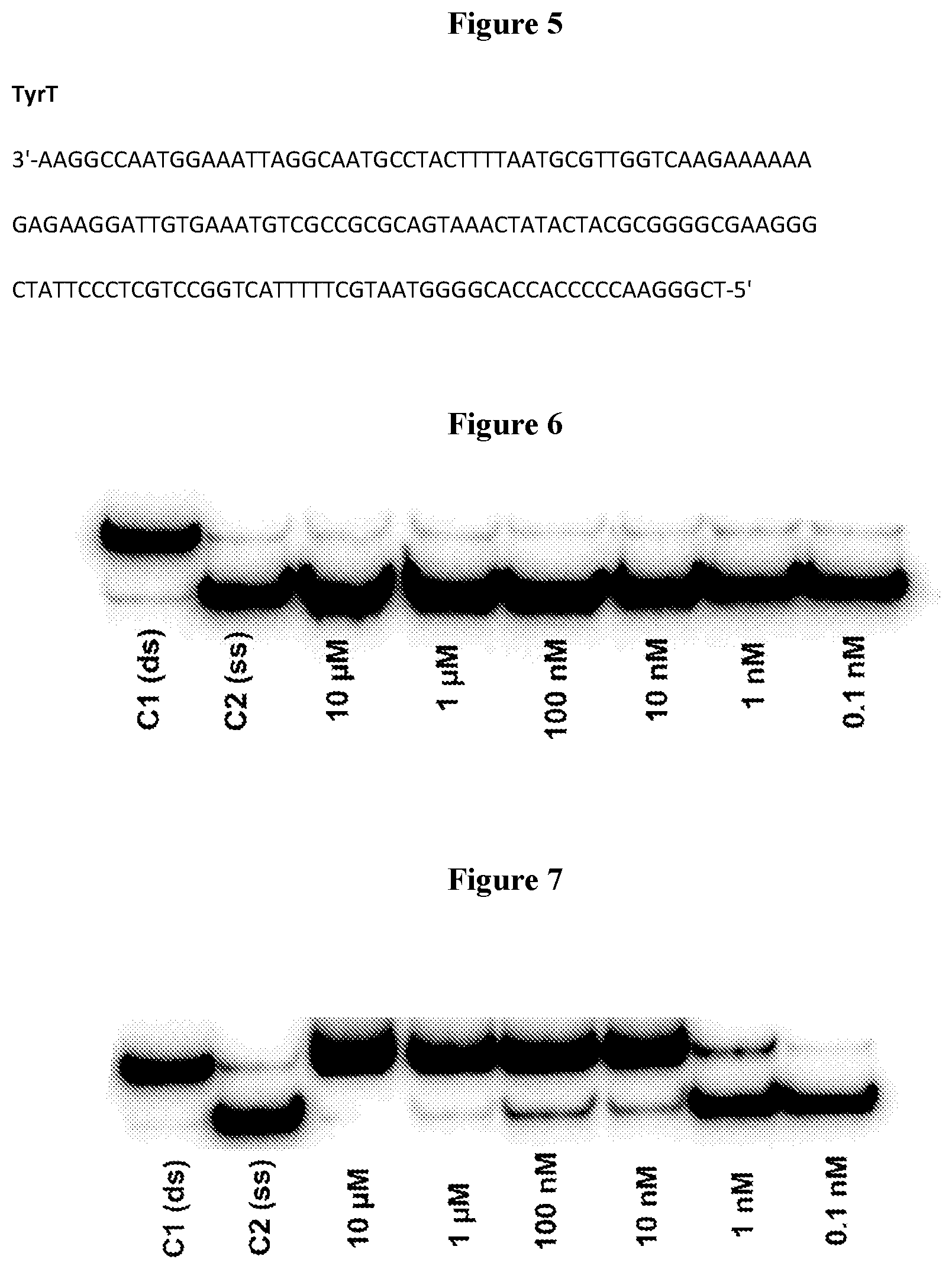 Patent US12583857 Figure 5 – Anti-liferative agents comprising substituted benzo[e]pyrido[1,2-a][1,4]diazepines