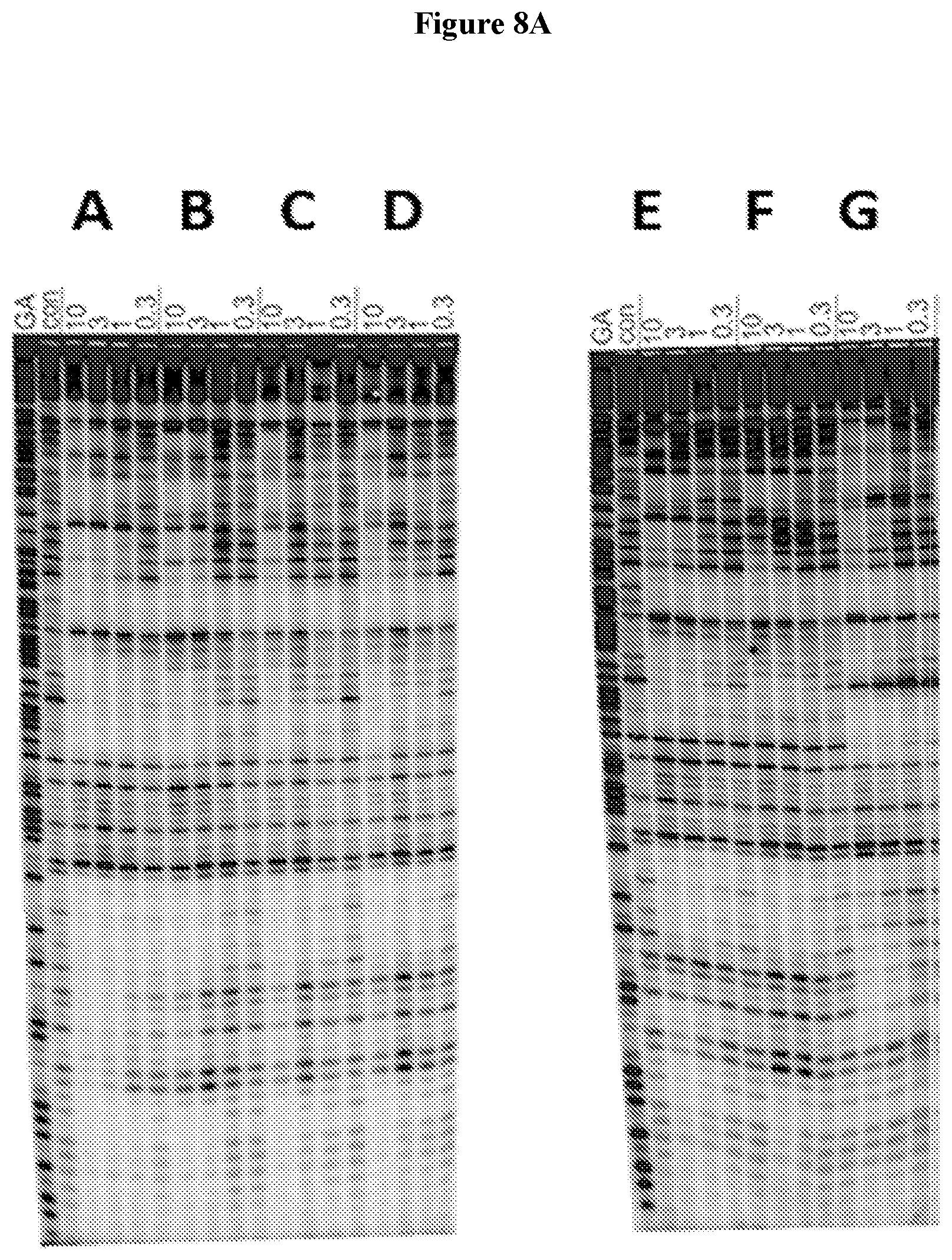 Patent US12583857 Figure 6 – Anti-liferative agents comprising substituted benzo[e]pyrido[1,2-a][1,4]diazepines