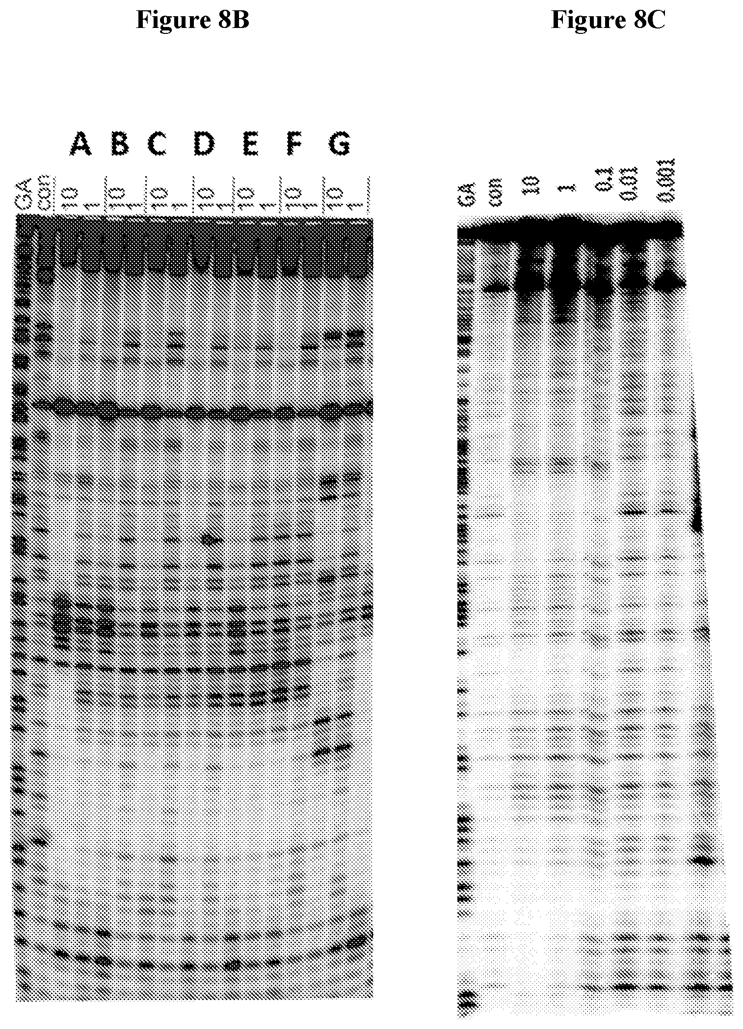 Patent US12583857 Figure 7 – Anti-liferative agents comprising substituted benzo[e]pyrido[1,2-a][1,4]diazepines