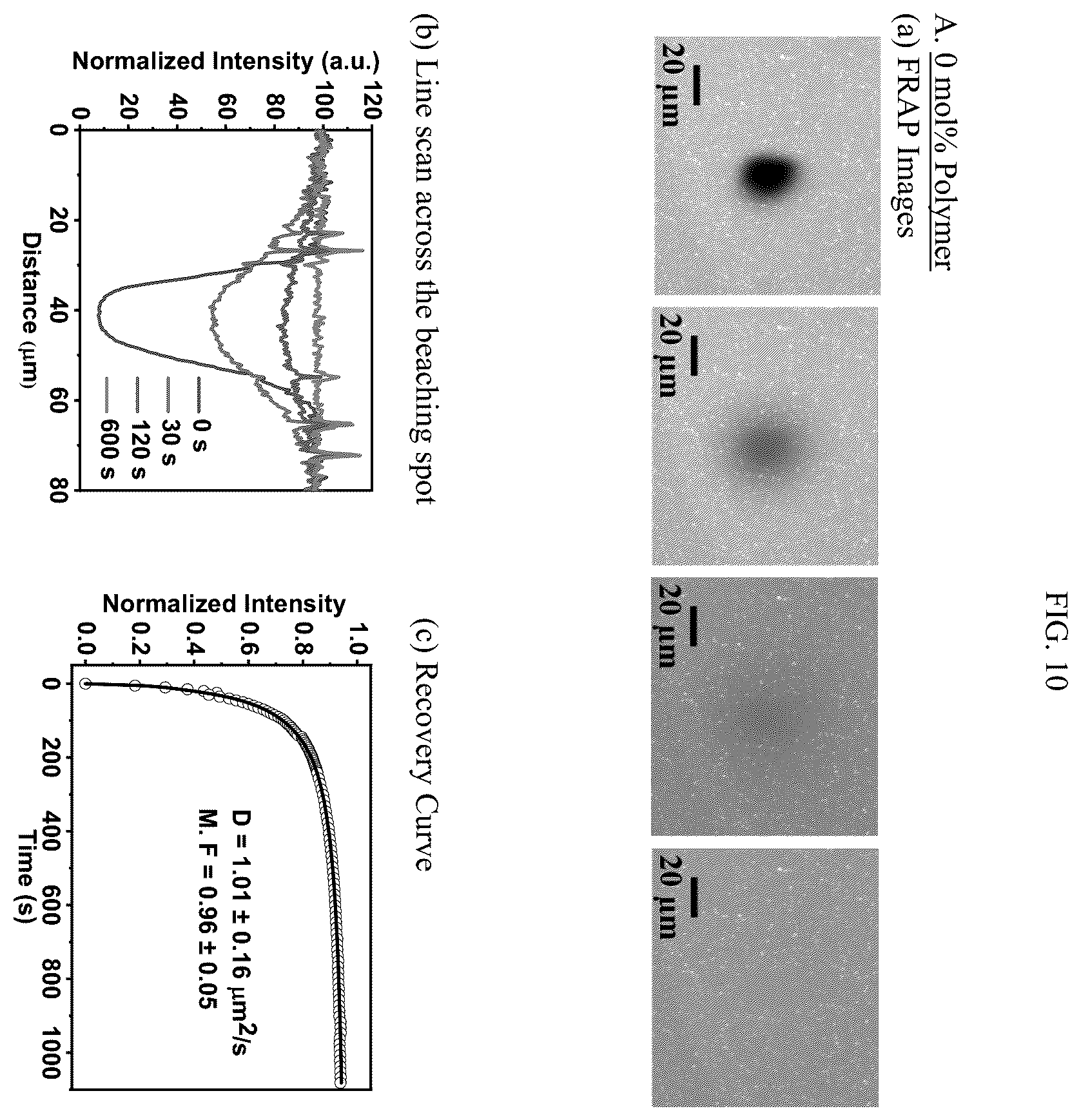 Patent US12583885 Figure 10 – Compositions of hybrid supported lipid bilayers and methods for producing