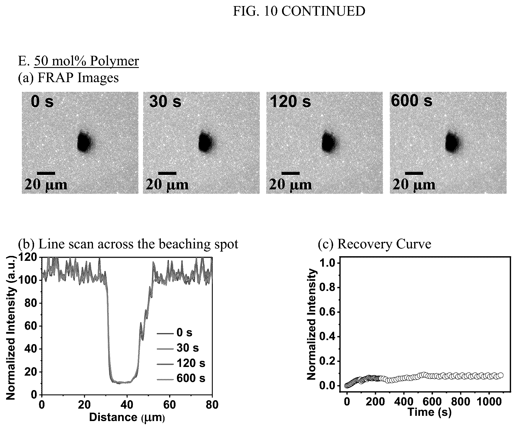 Patent US12583885 Figure 14 – Compositions of hybrid supported lipid bilayers and methods for producing