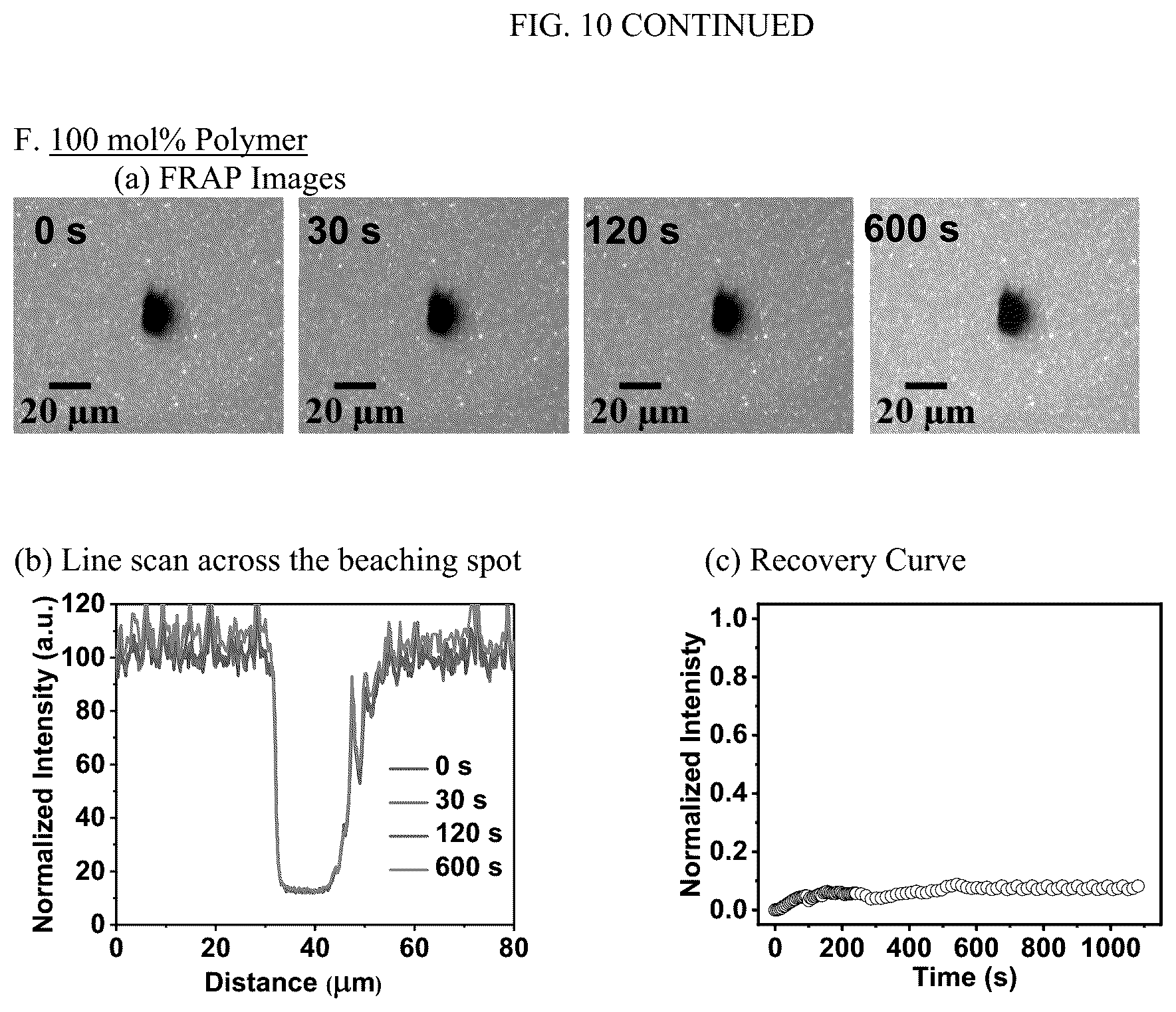 Patent US12583885 Figure 15 – Compositions of hybrid supported lipid bilayers and methods for producing