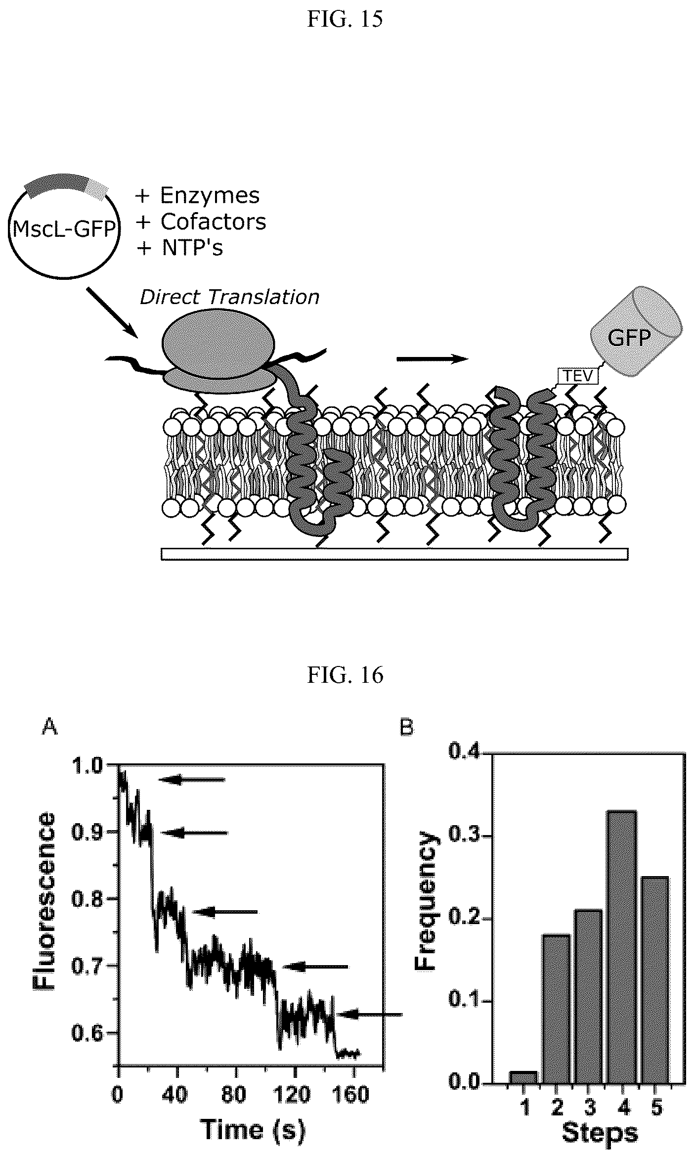 Patent US12583885 Figure 20 – Compositions of hybrid supported lipid bilayers and methods for producing
