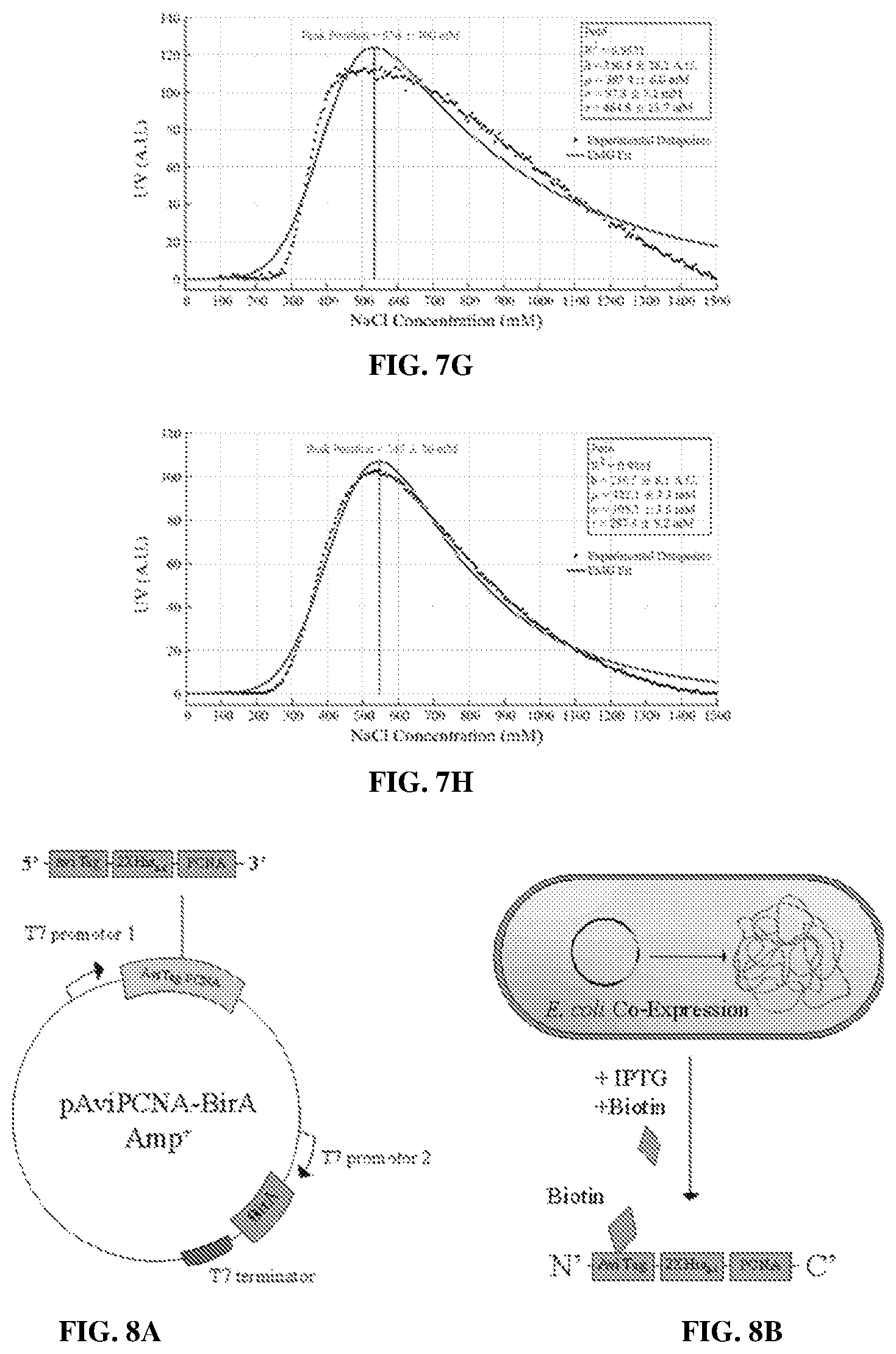 Patent US12583886 Figure 10 – Sliding clamp-based affinity purification systems, methods of making and use thereof