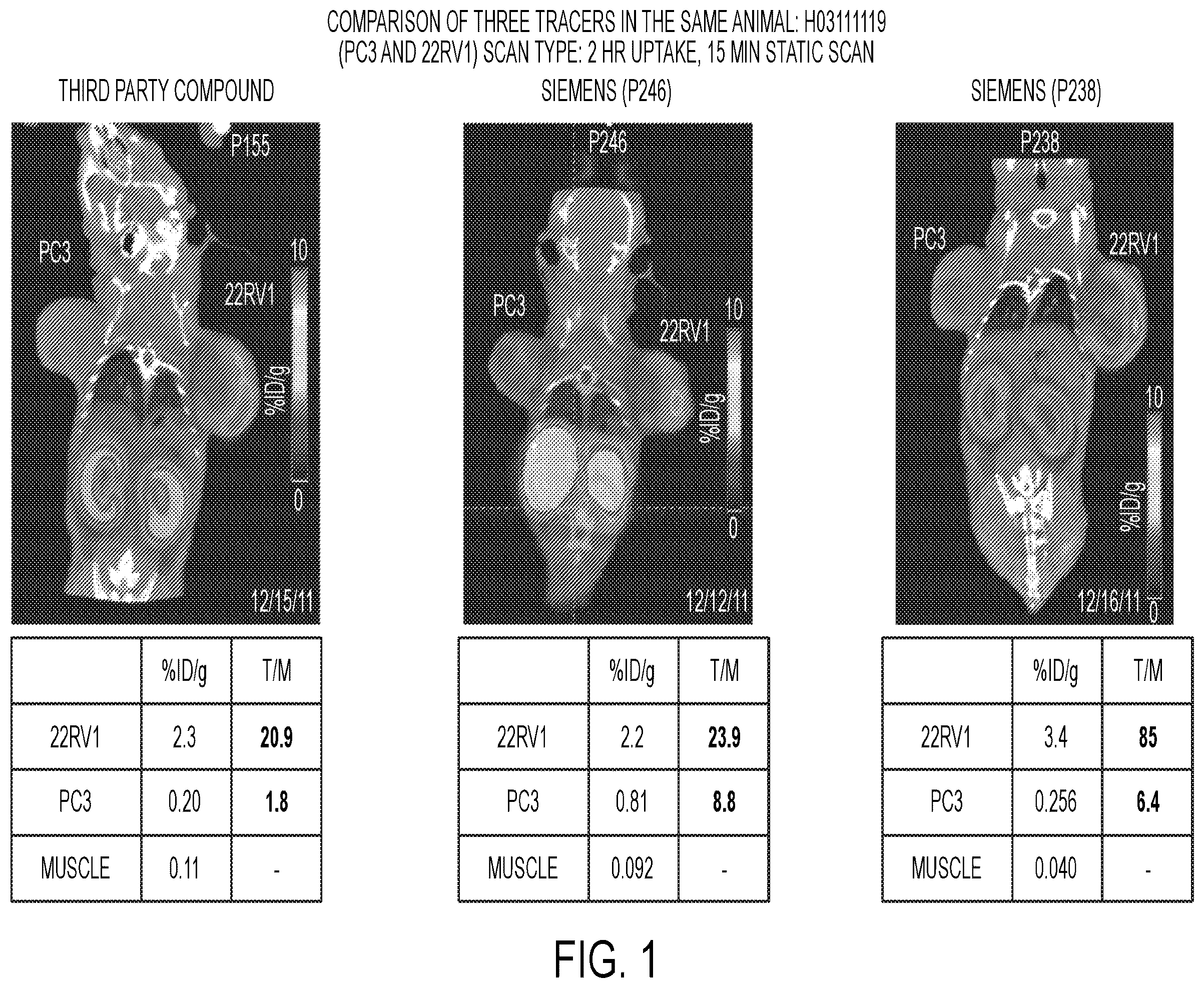 Patent US12583887 — PSMA imaging agents — Figure 1