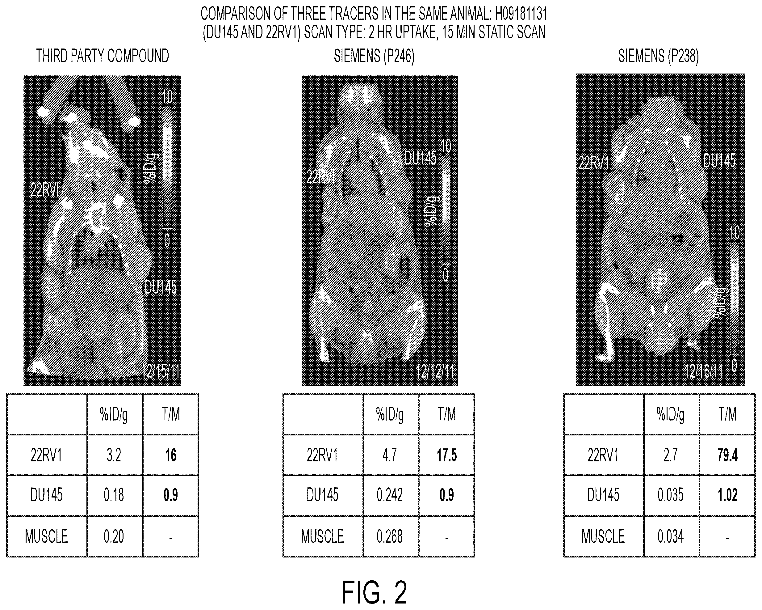 Patent US12583887 Figure 2 – PSMA imaging agents