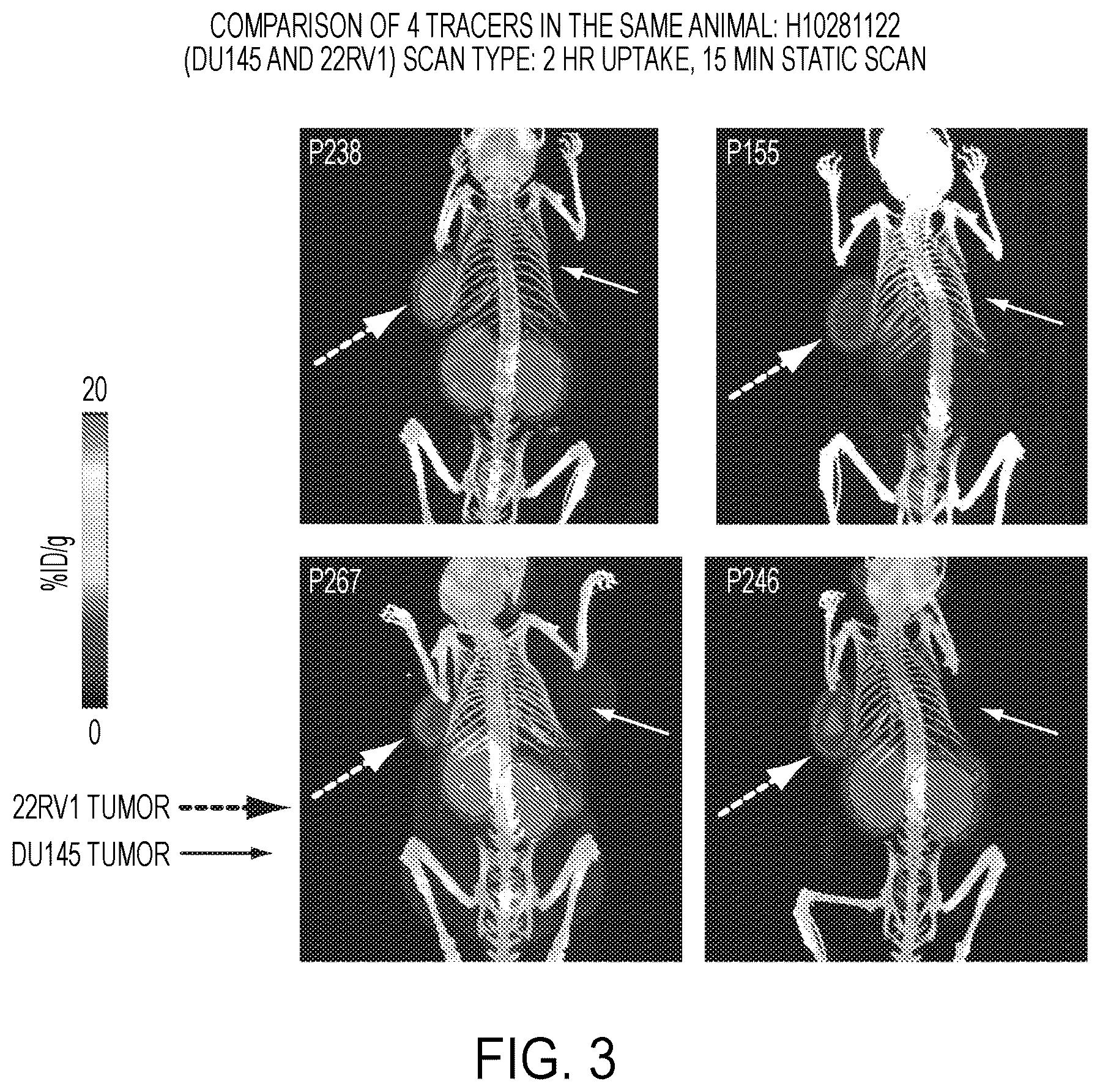 Patent US12583887 Figure 3 – PSMA imaging agents