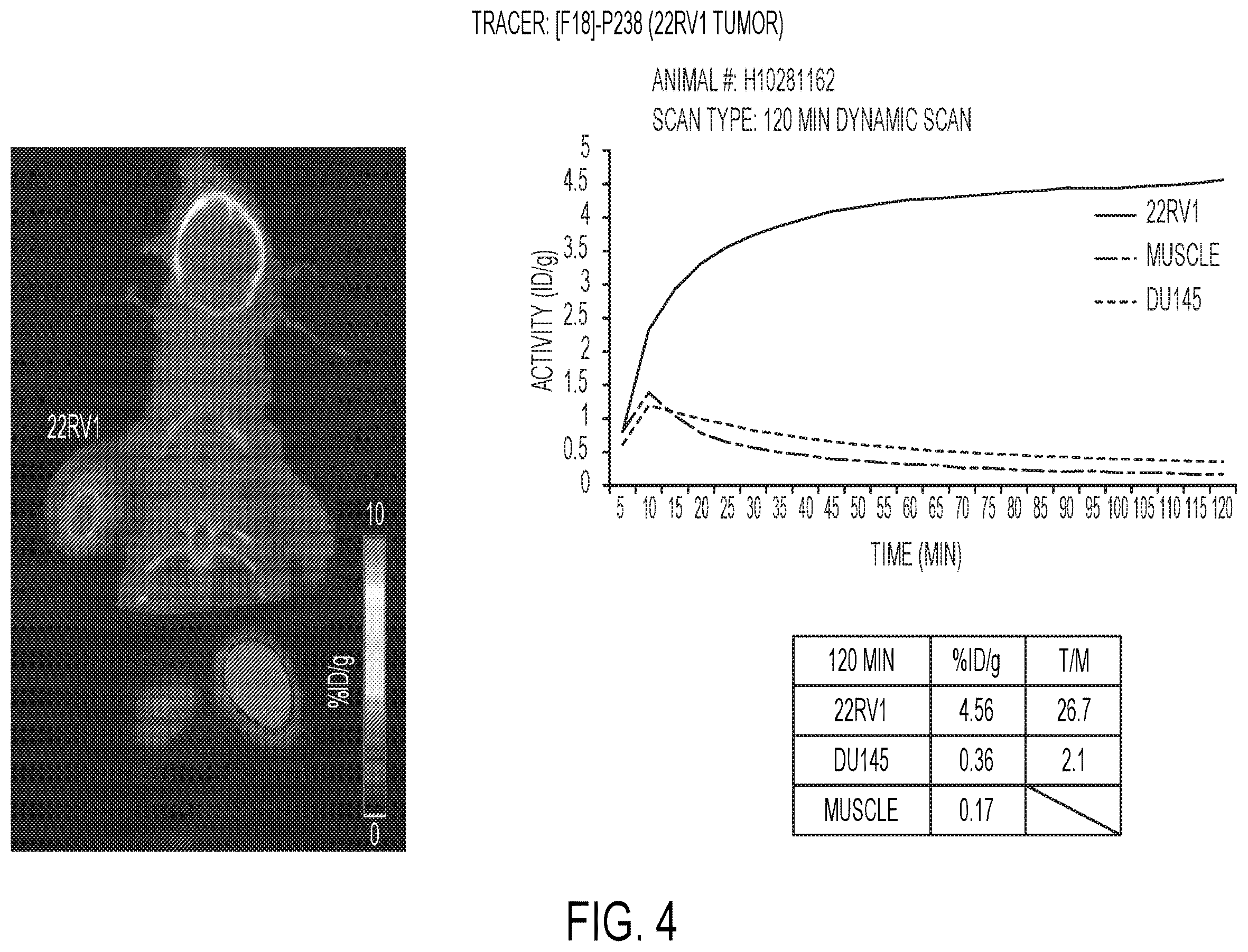 Patent US12583887 Figure 4 – PSMA imaging agents