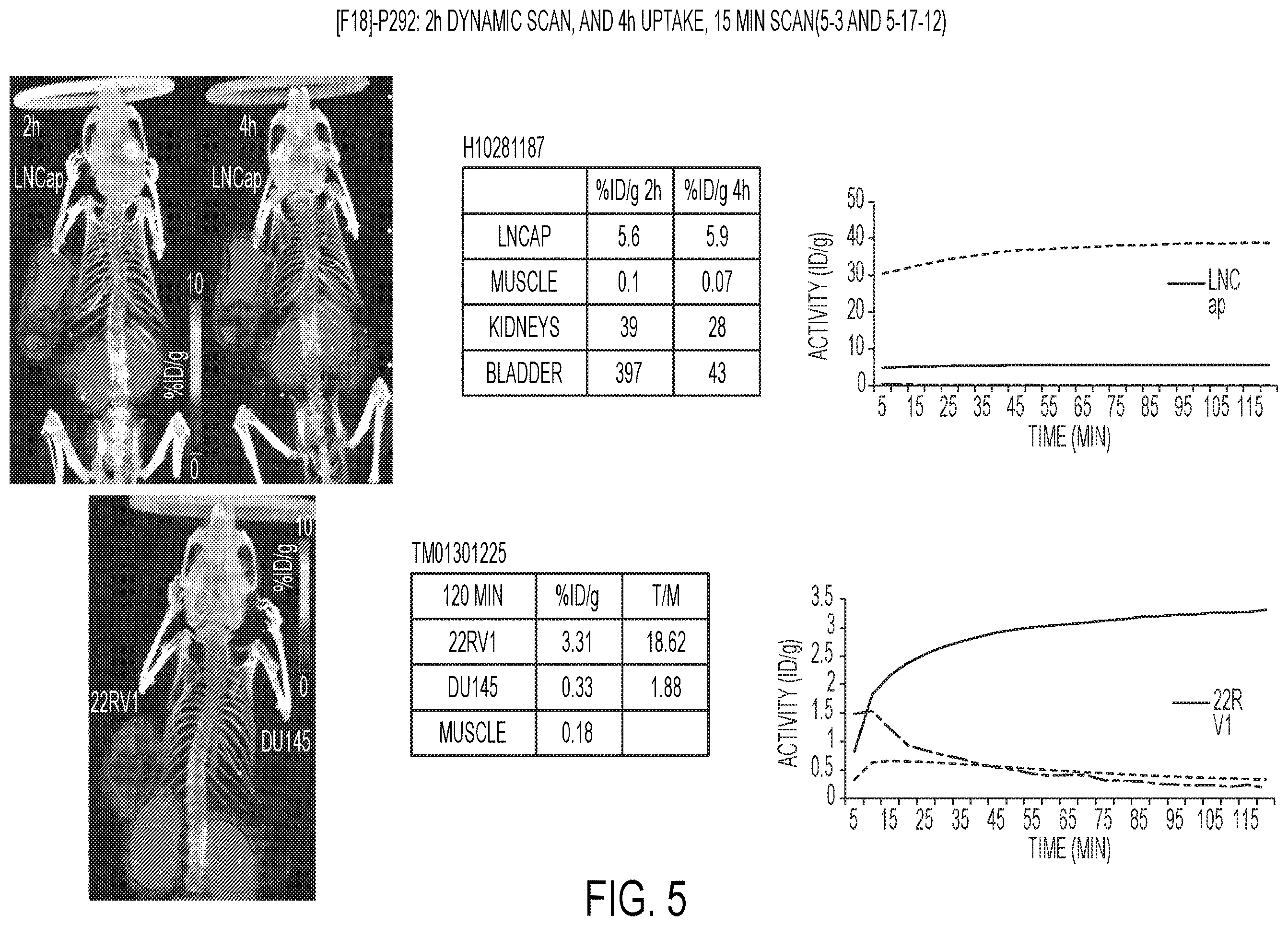 Patent US12583887 Figure 5 – PSMA imaging agents