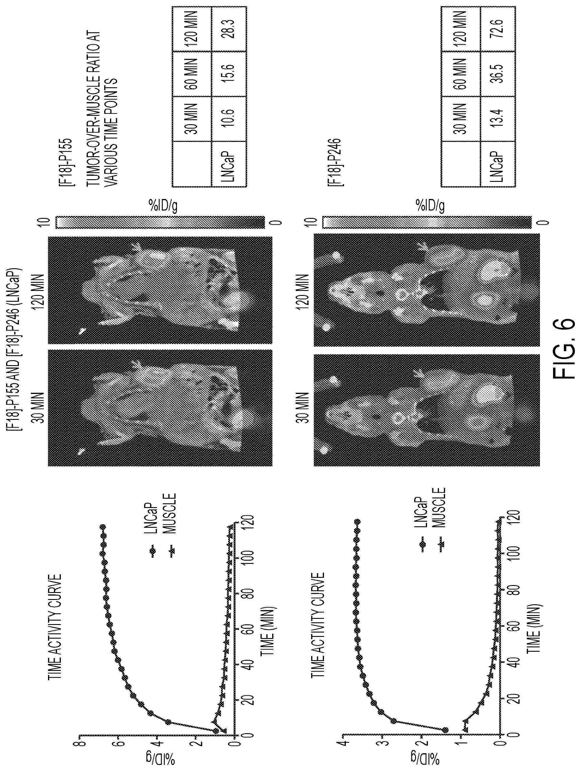 Patent US12583887 Figure 6 – PSMA imaging agents