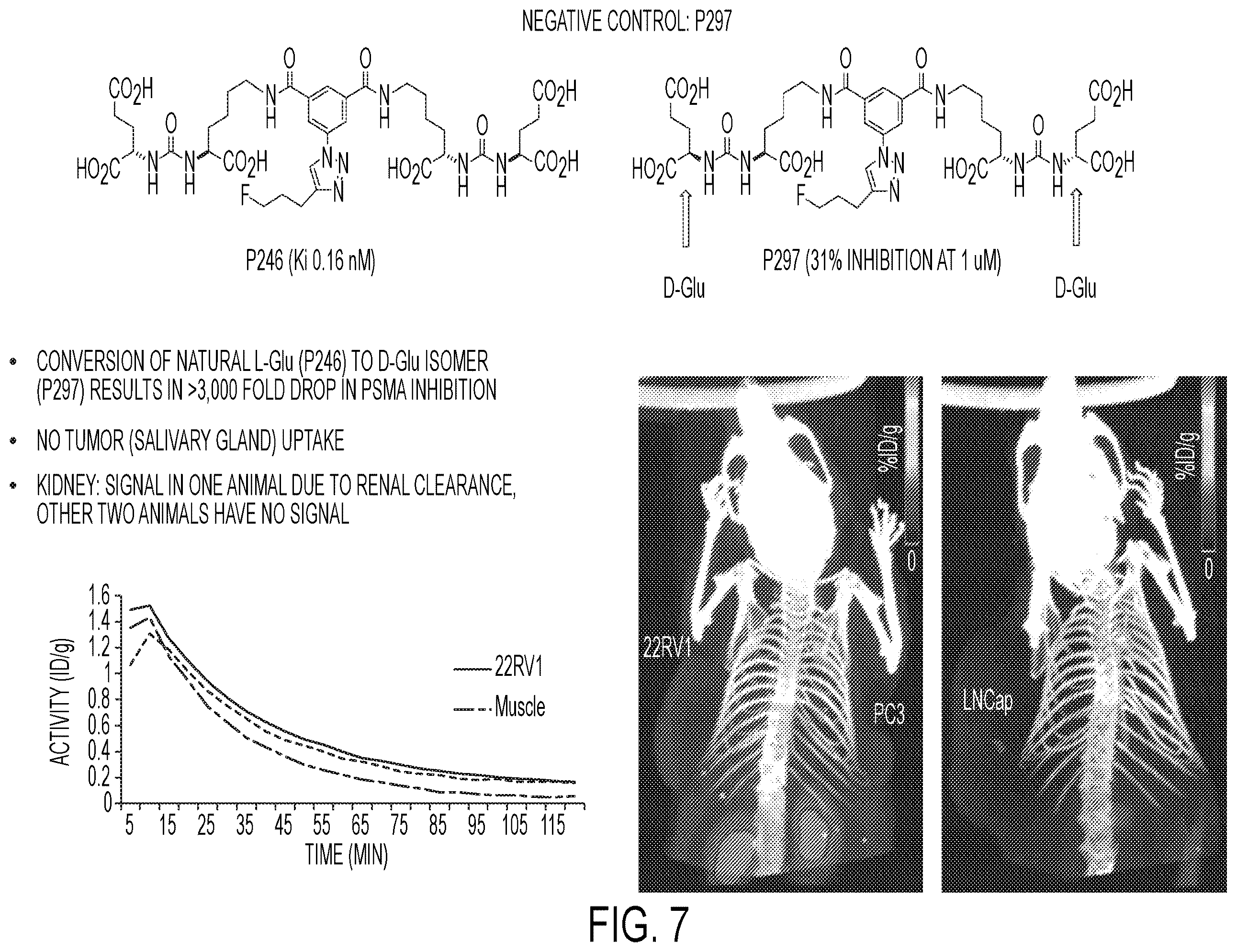 Patent US12583887 Figure 7 – PSMA imaging agents