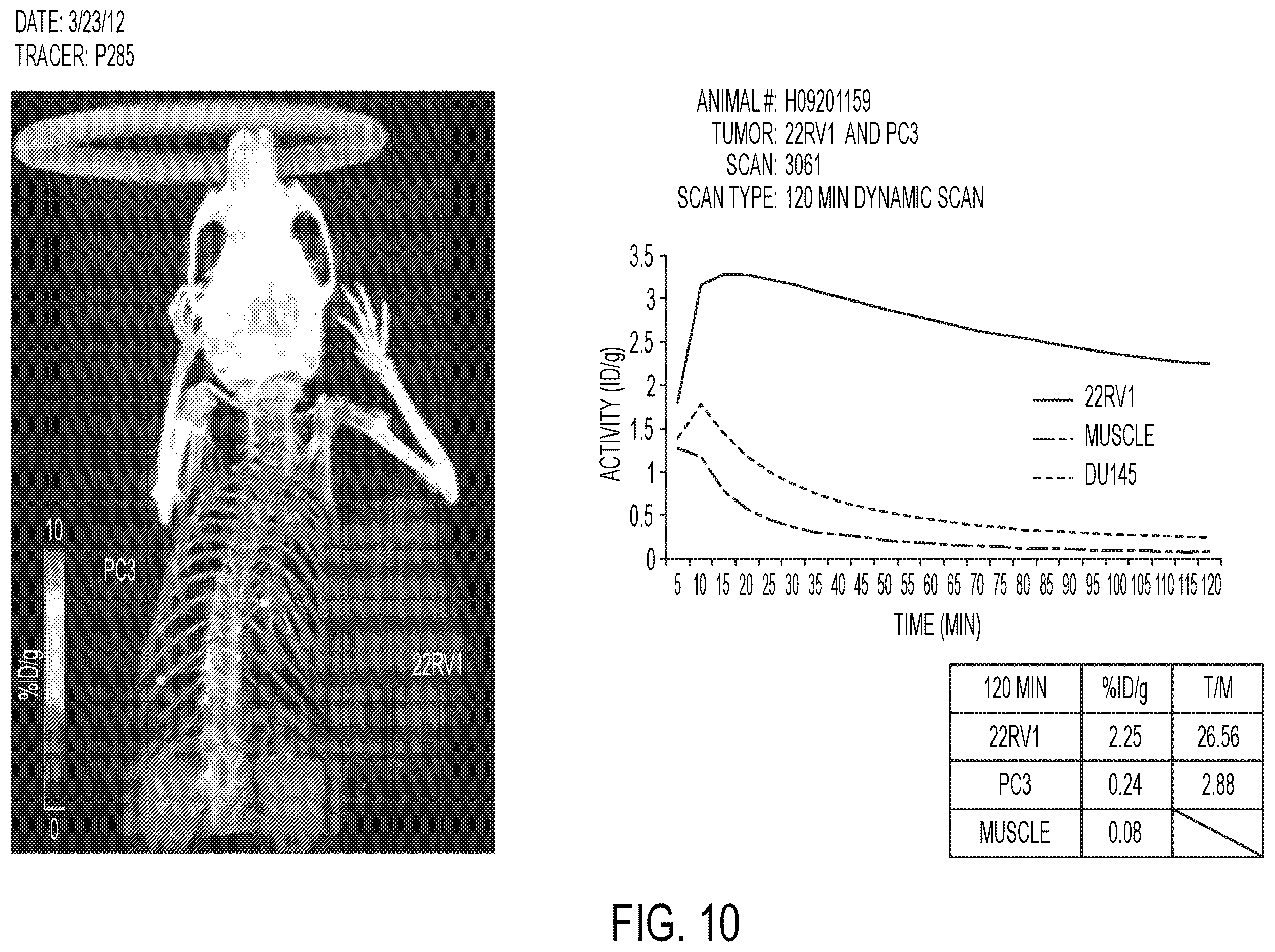 Patent US12583887 Figure 10 – PSMA imaging agents