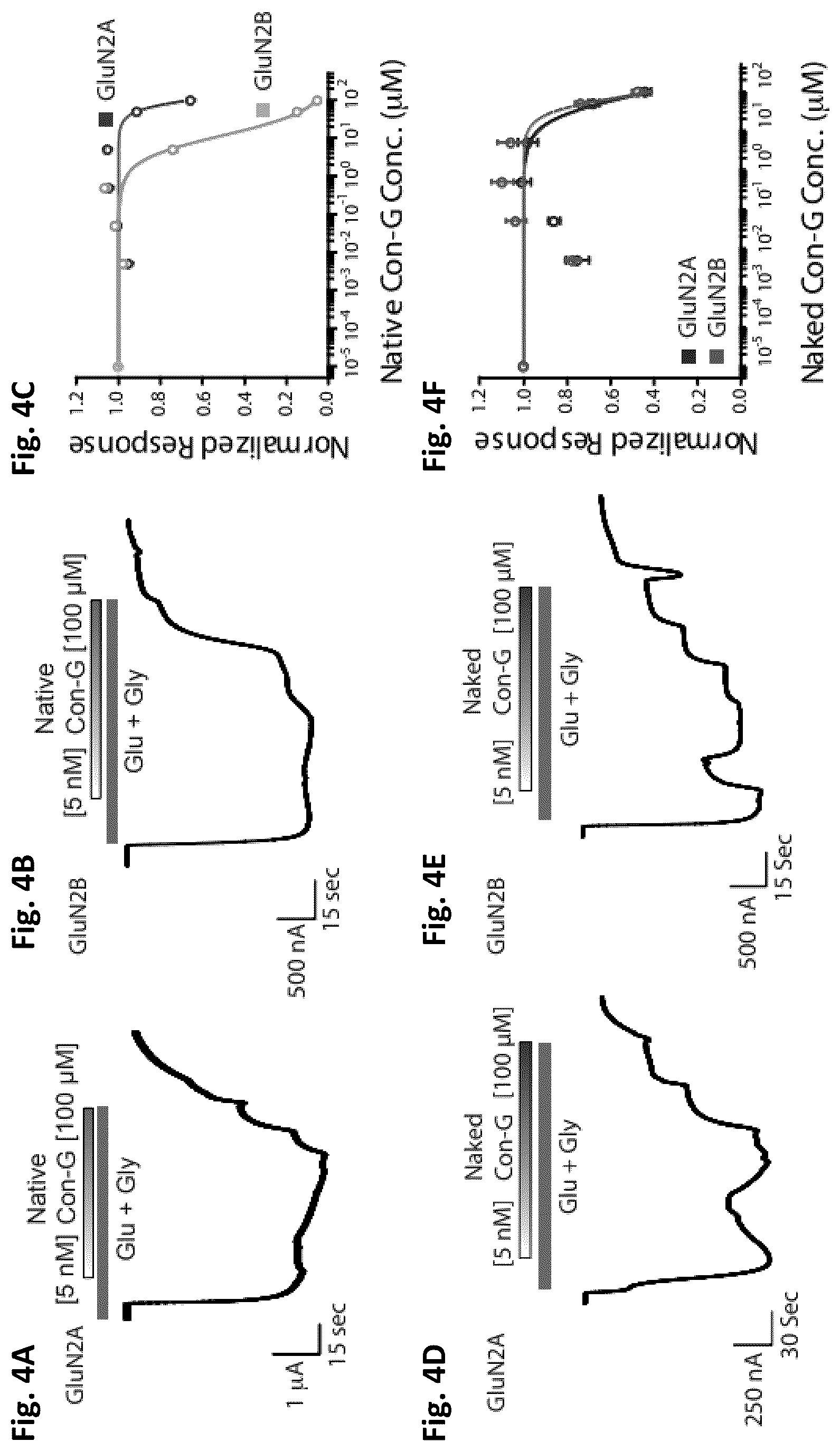 Patent US12583892 Figure 3 – Conus-based toxin peptides, nucleic acids encoding same and uses thereof in modulating NMDA receptors