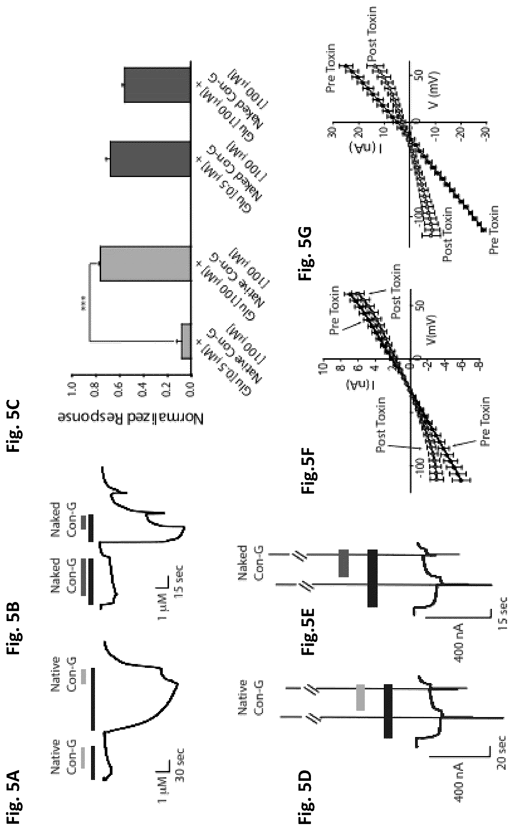 Patent US12583892 Figure 4 – Conus-based toxin peptides, nucleic acids encoding same and uses thereof in modulating NMDA receptors