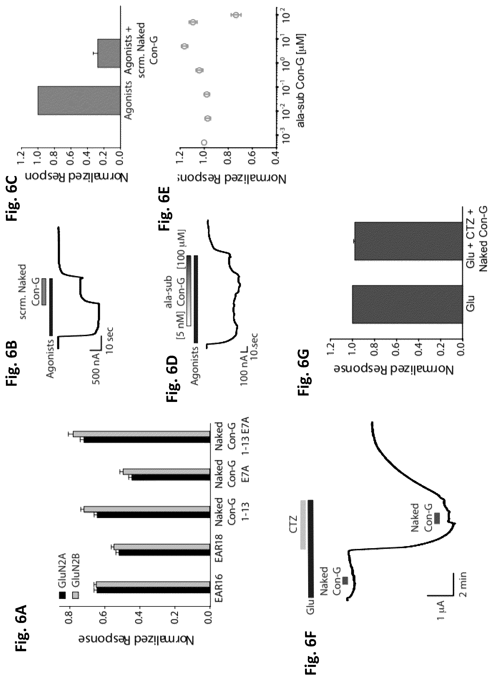 Patent US12583892 Figure 5 – Conus-based toxin peptides, nucleic acids encoding same and uses thereof in modulating NMDA receptors