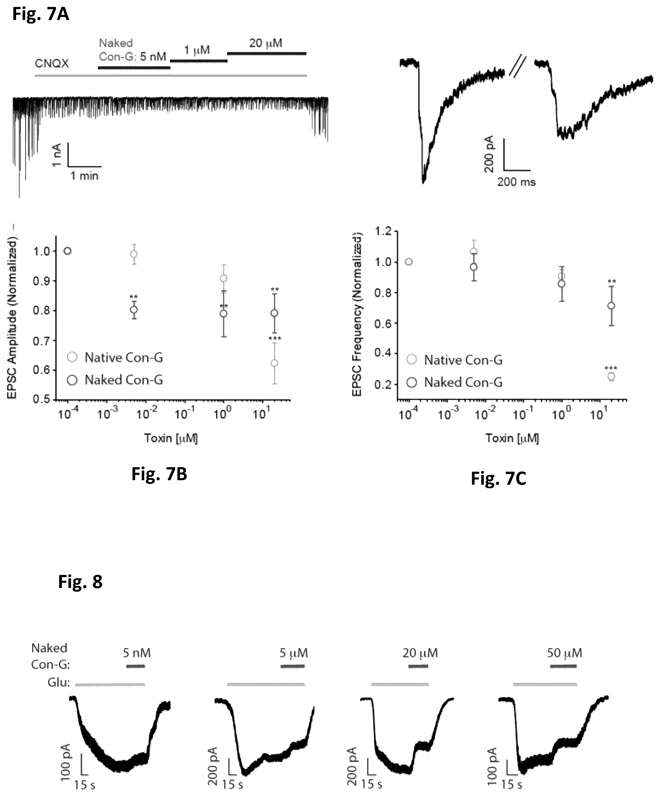 Patent US12583892 Figure 6 – Conus-based toxin peptides, nucleic acids encoding same and uses thereof in modulating NMDA receptors