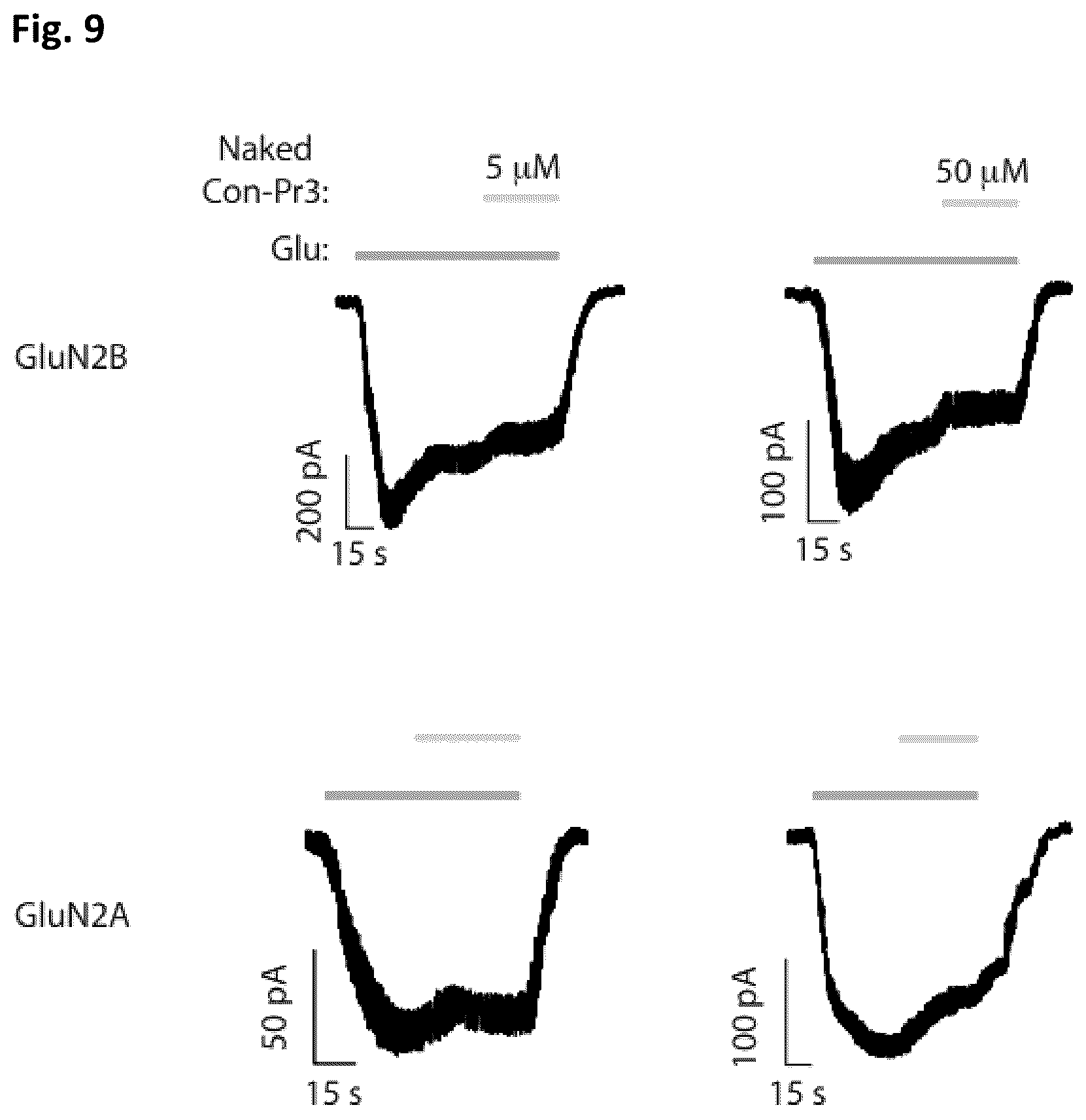 Patent US12583892 Figure 7 – Conus-based toxin peptides, nucleic acids encoding same and uses thereof in modulating NMDA receptors