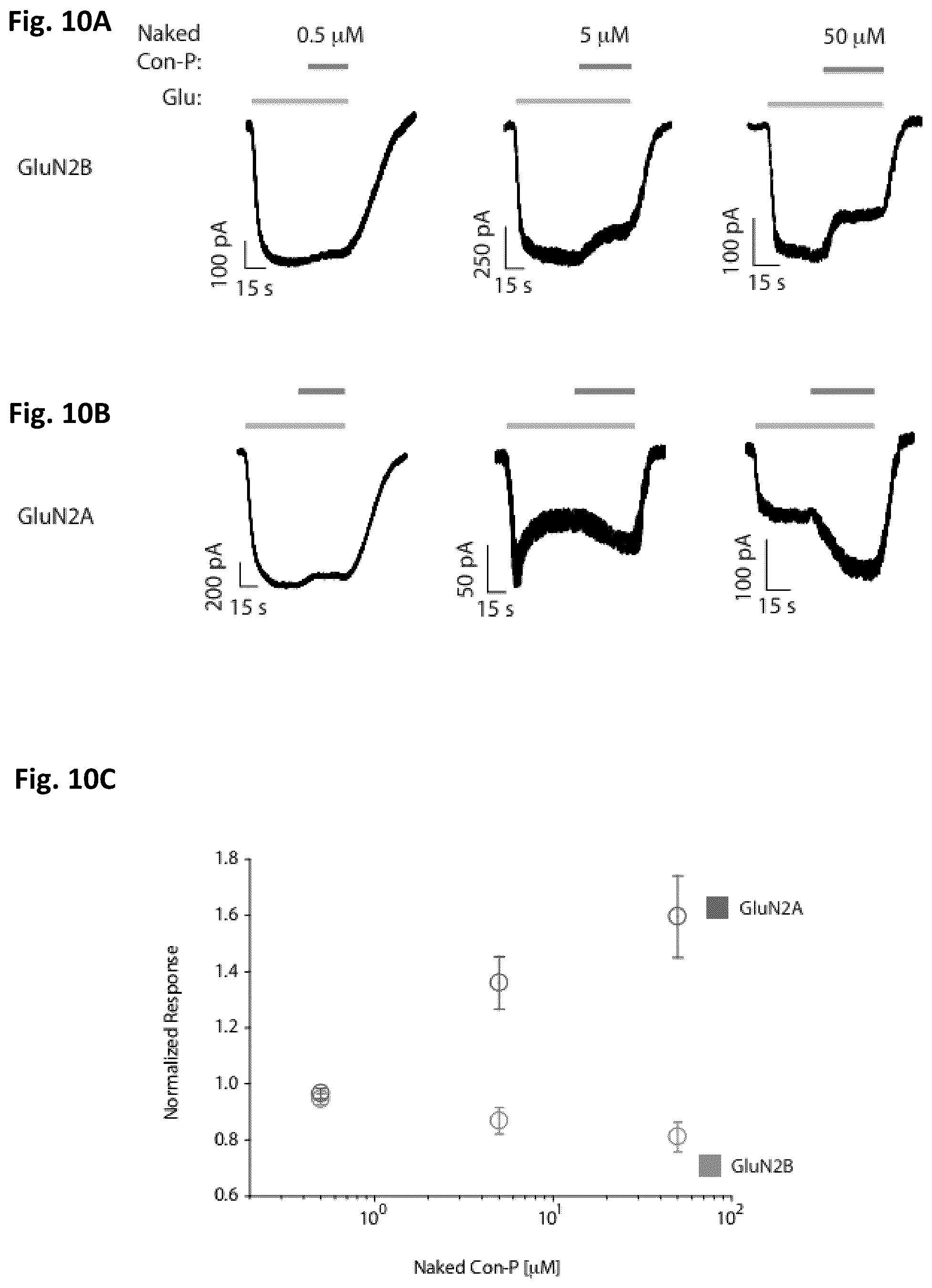 Patent US12583892 Figure 8 – Conus-based toxin peptides, nucleic acids encoding same and uses thereof in modulating NMDA receptors